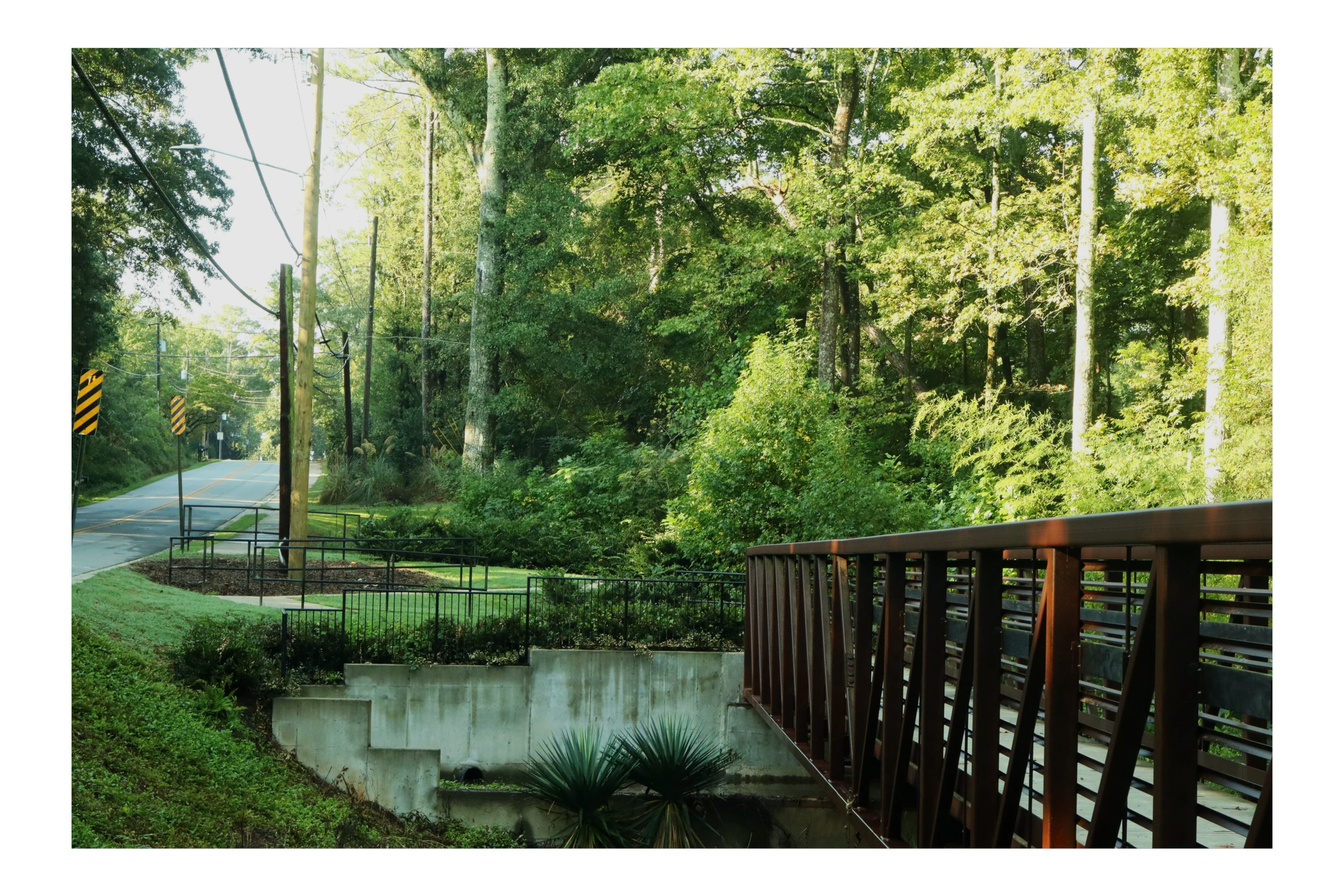 A view of a quiet tree-lined street with utility poles and power lines, seen from a porch with a wooden railing, during daytime with bright sunlight.