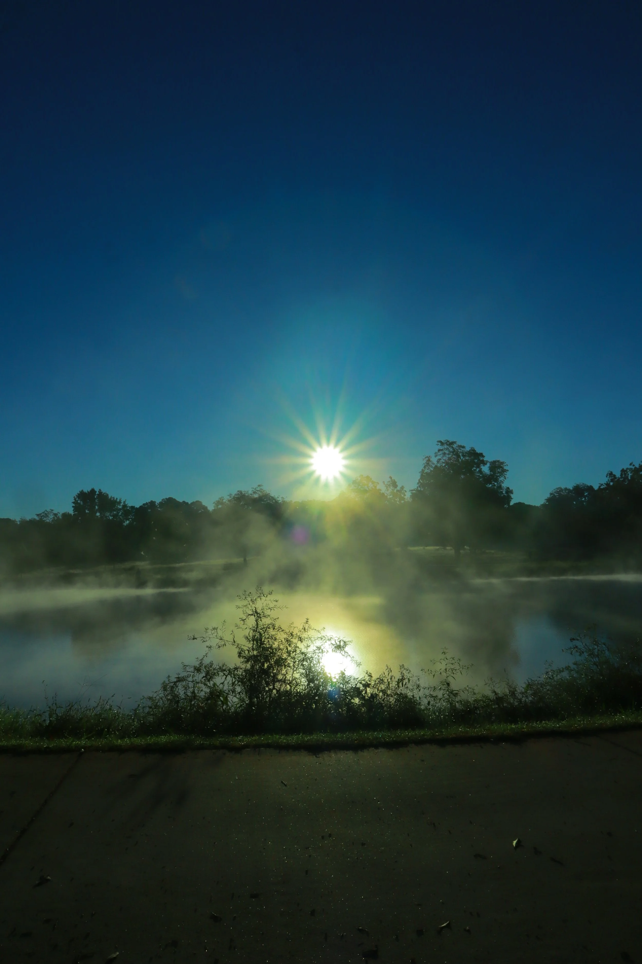 Sunrise over a lake with mist and trees, with shadows on a sidewalk in the foreground.