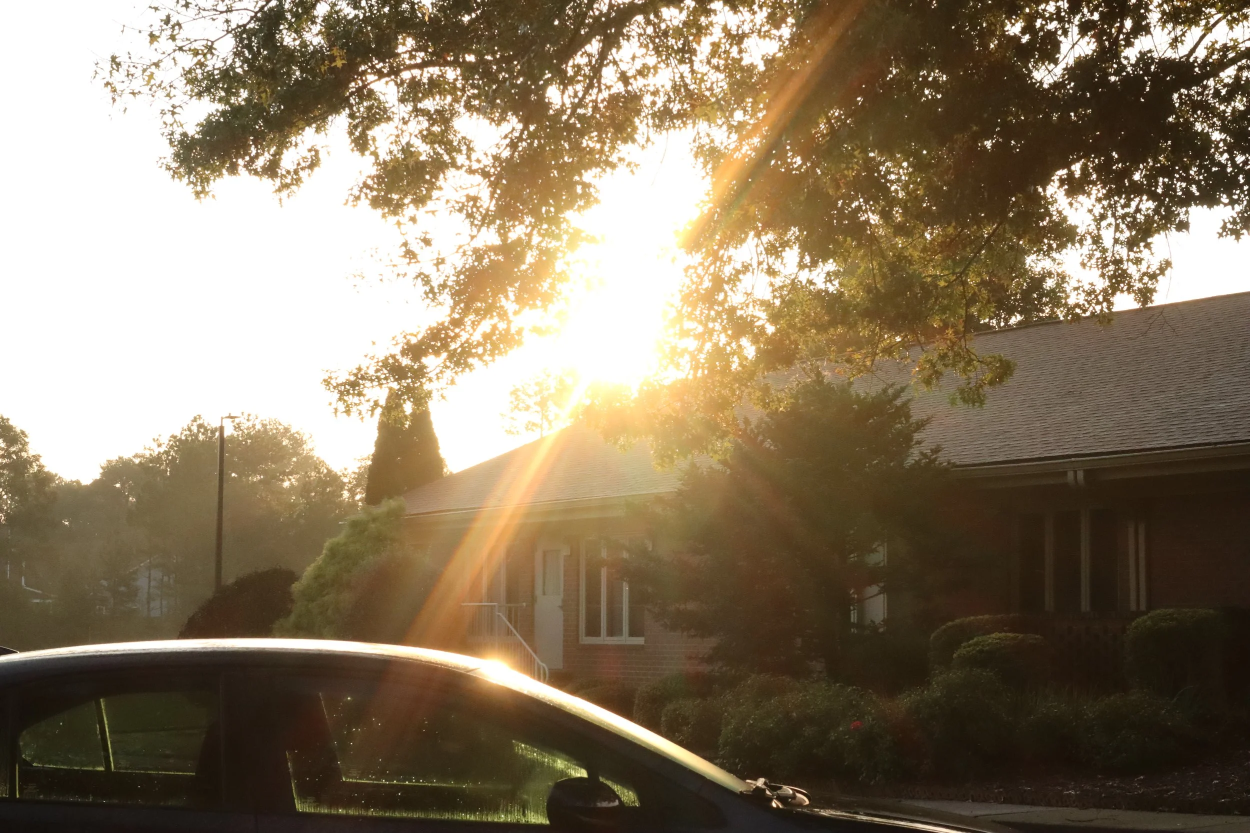 Sunshine filtering through tree branches over a residential neighborhood, with part of a car visible in the foreground.