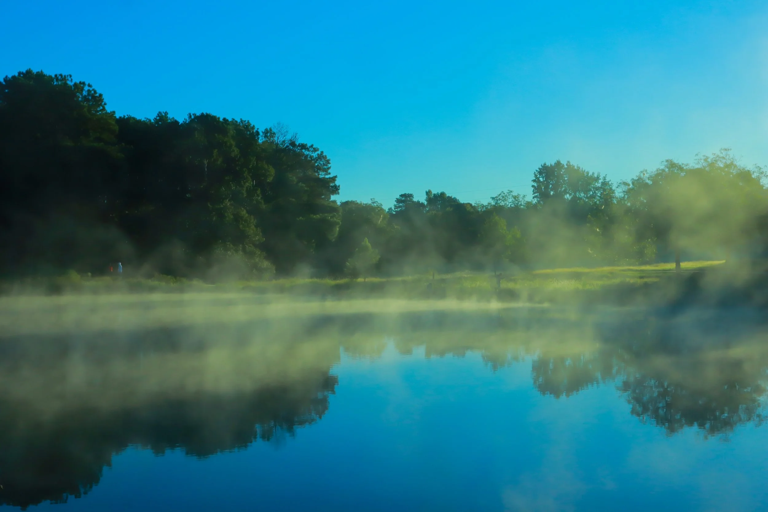 A calm lake with a reflection of green trees and a blue sky, with some mist over the water.