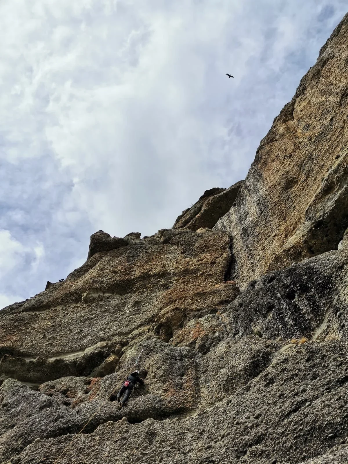 A climber at laguna sofia with an Andean Condor above, on a guiding climbing trip with Paine Mountain Guides, a locally owned and operated guides company that run many different trips in Torres del Paine National Park, Patagonia