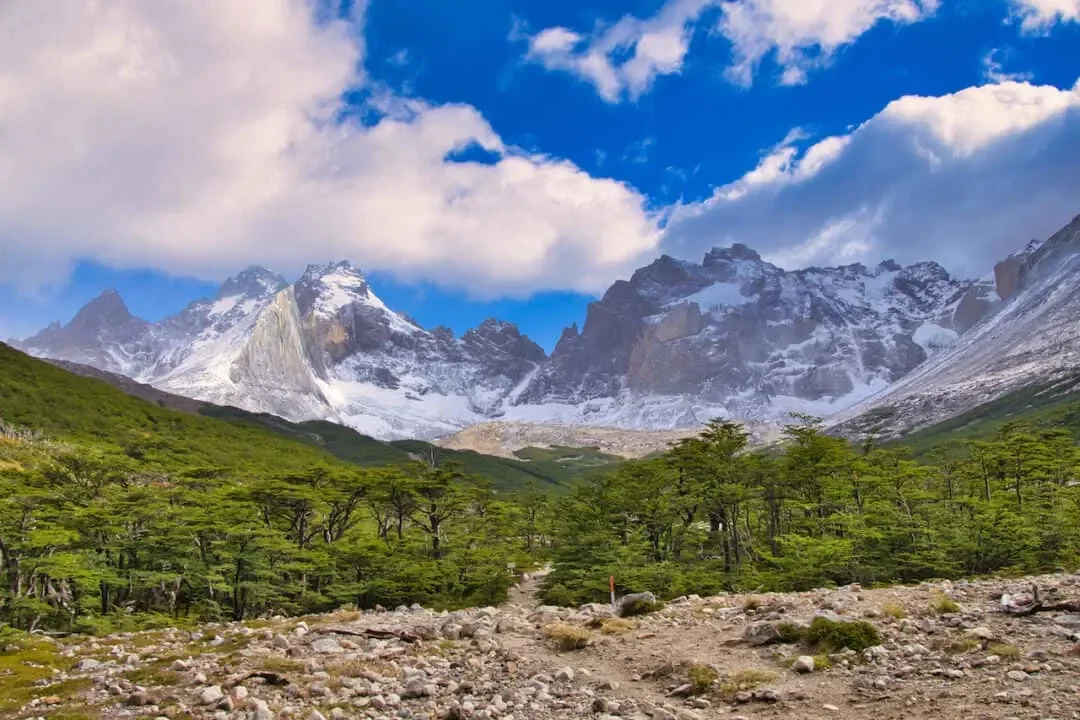 Snow-capped mountains over a lush green forest and rocky trail.