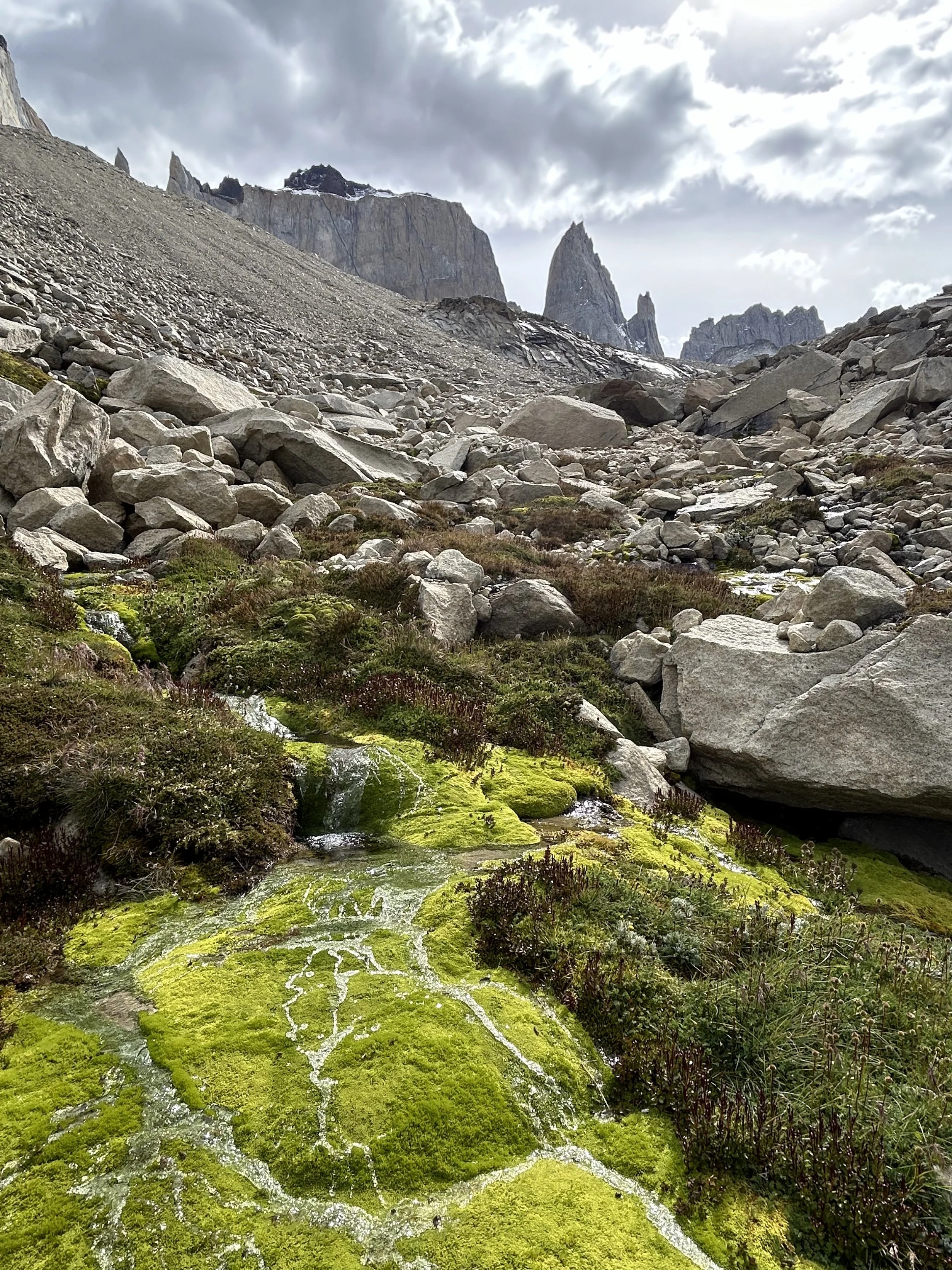 The lush Bader Valley, on a guided climbing trip with Paine Mountain Guides, a locally owned and operated guides company that run many different trips in Torres del Paine, in Chilean patagonia.