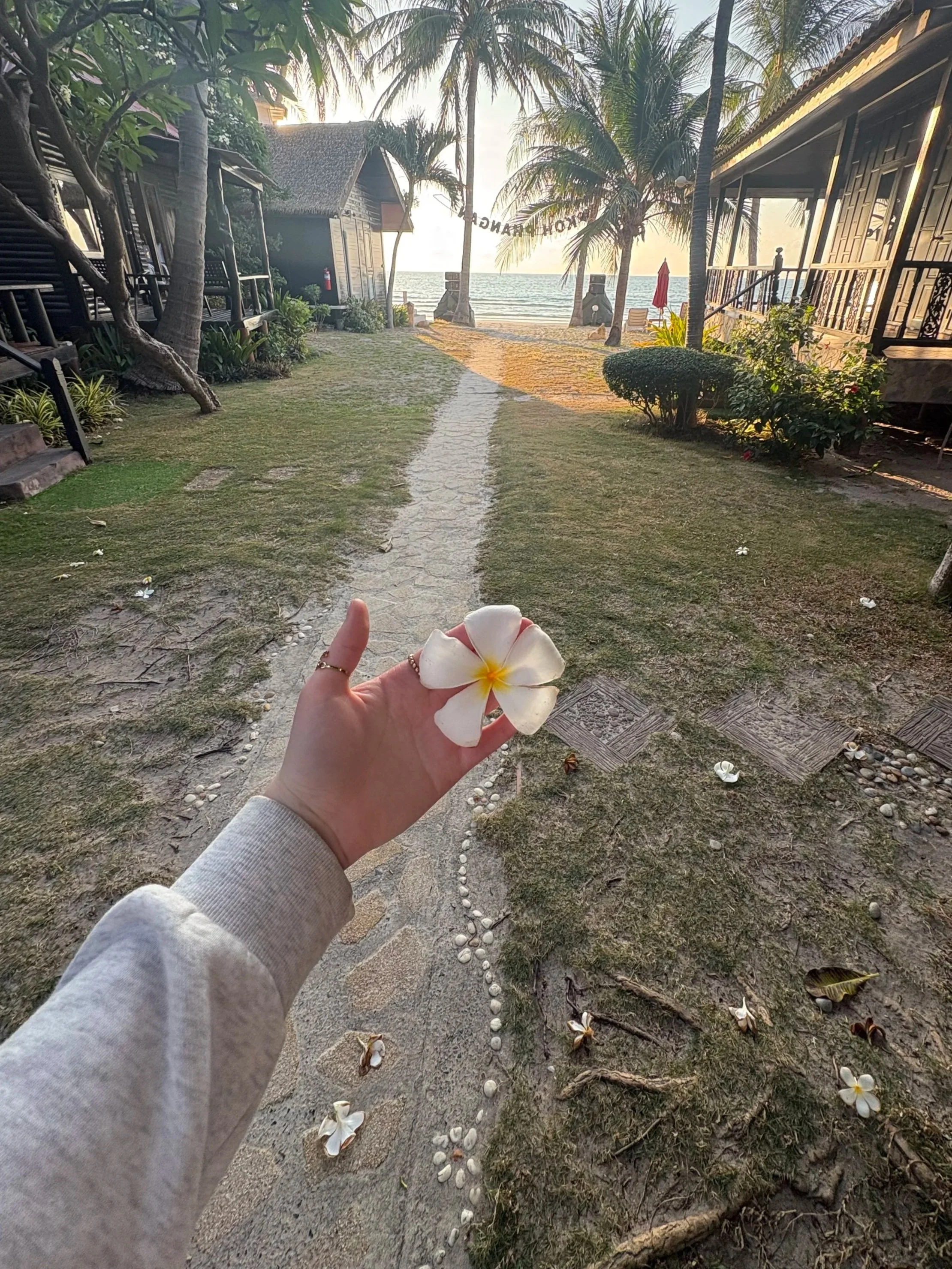 A person holding a white flower with a yellow center in front of a sandy pathway leading to the beach, flanked by palm trees and wooden buildings, during sunset.
