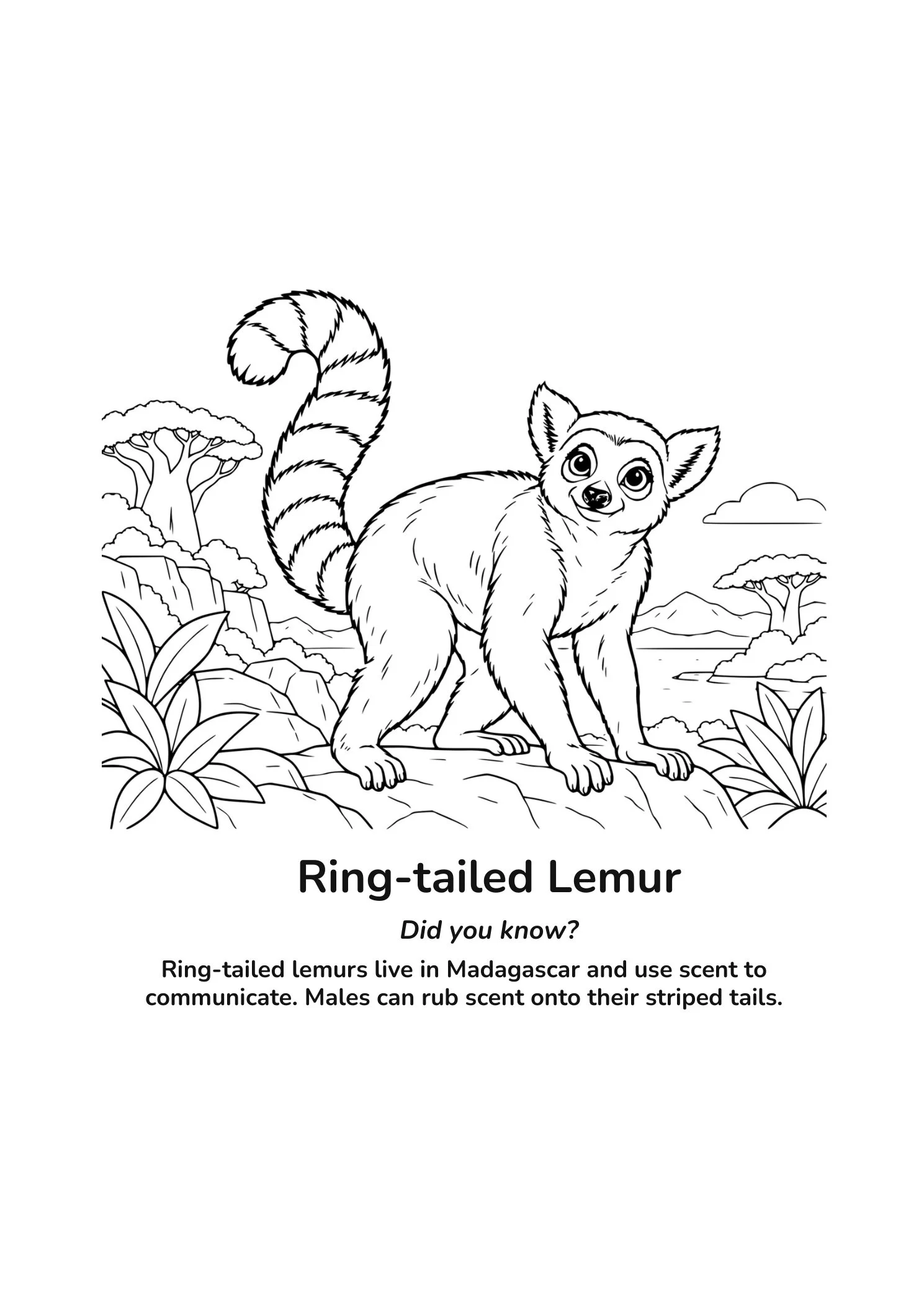 Ring-tailed lemur coloring page in a Madagascar landscape with cliffs, trees, mountains, and water; text explains that lemurs use scent to communicate.
