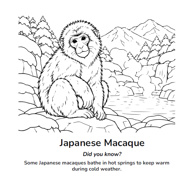 Black-and-white coloring page of a Japanese macaque sitting beside a snowy hot spring, with mountains and evergreen trees in the background.