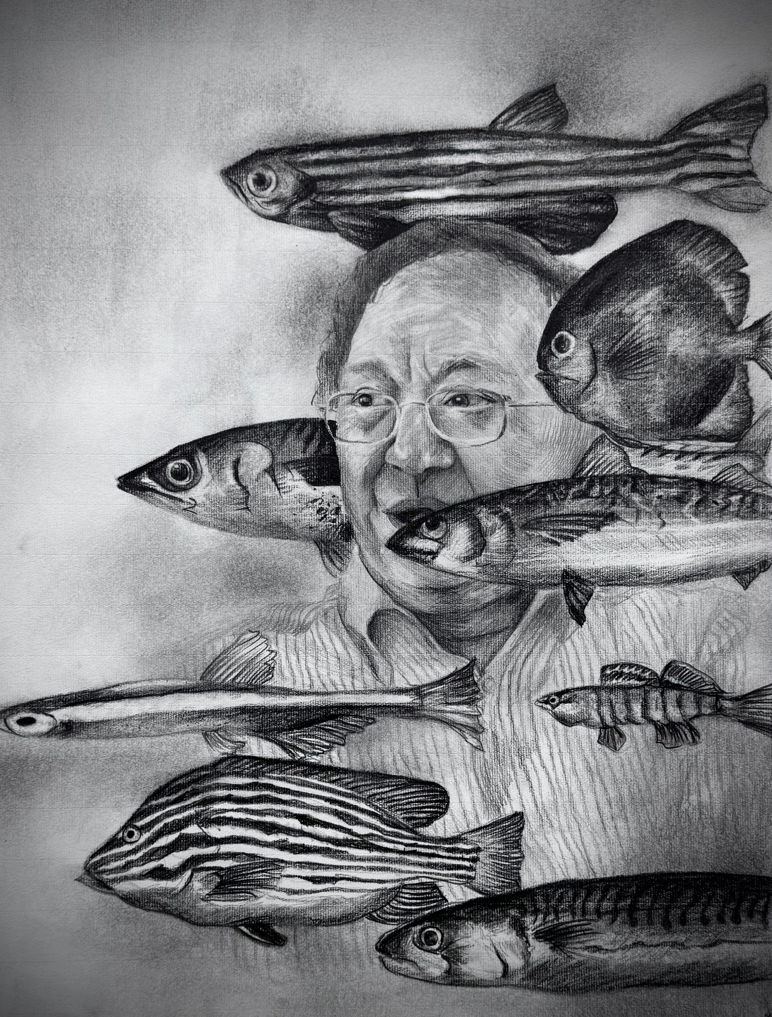    Where We're From, Pencil & Charcoal on Paper 19 x 15"