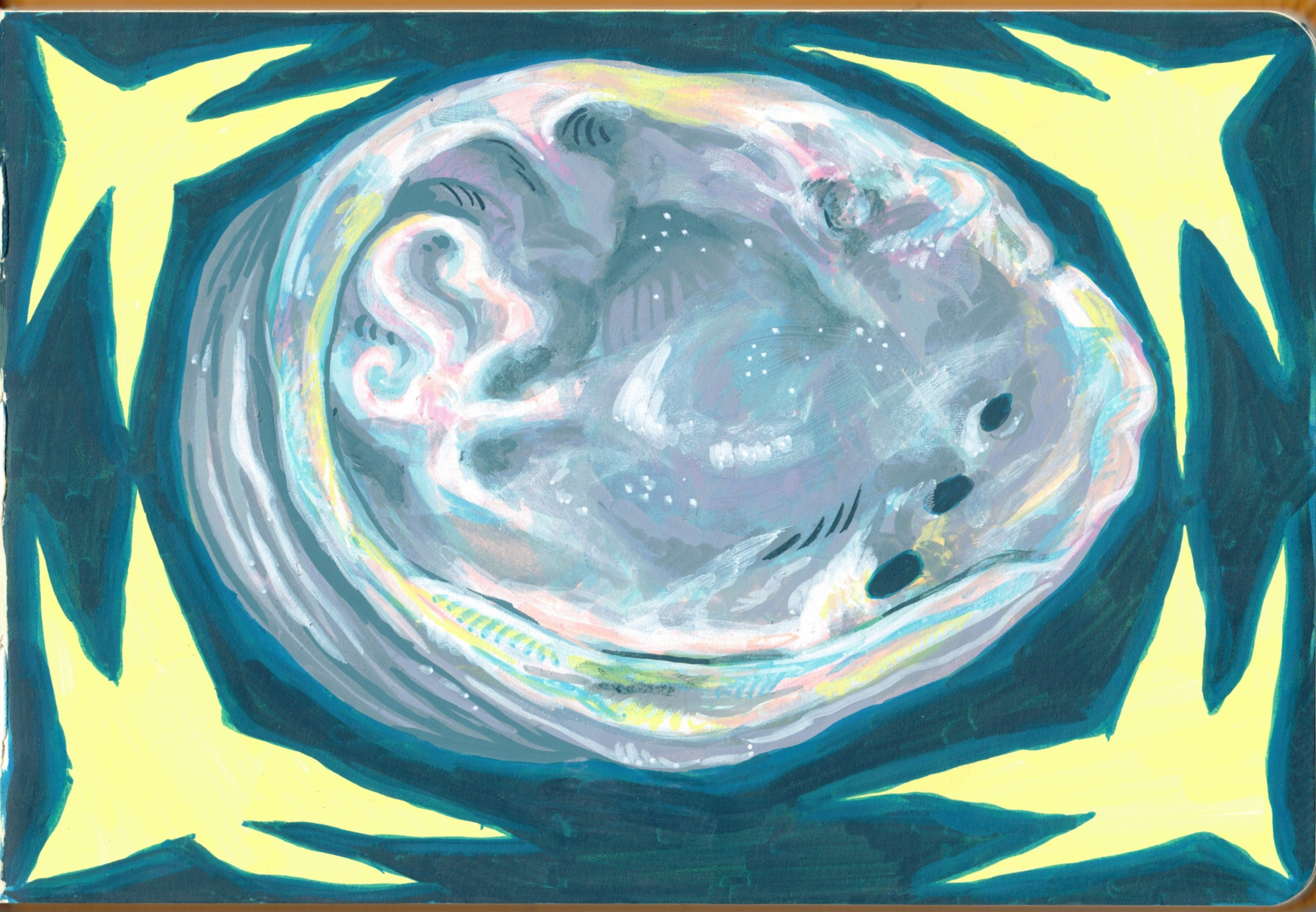shell.png