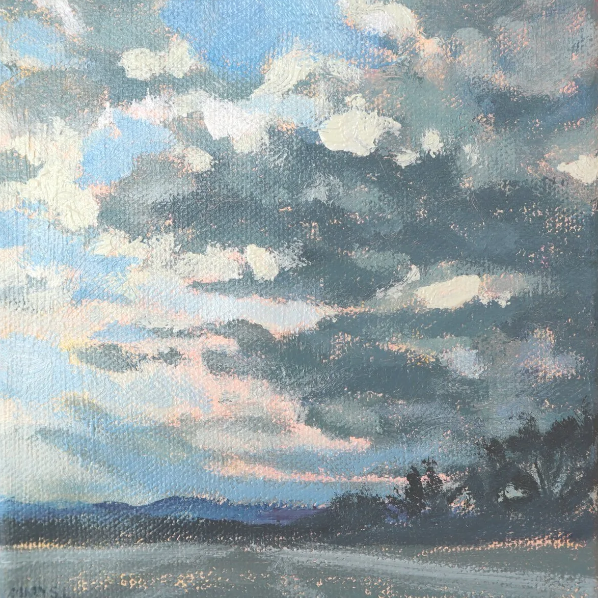 Mini Afternoon Storm