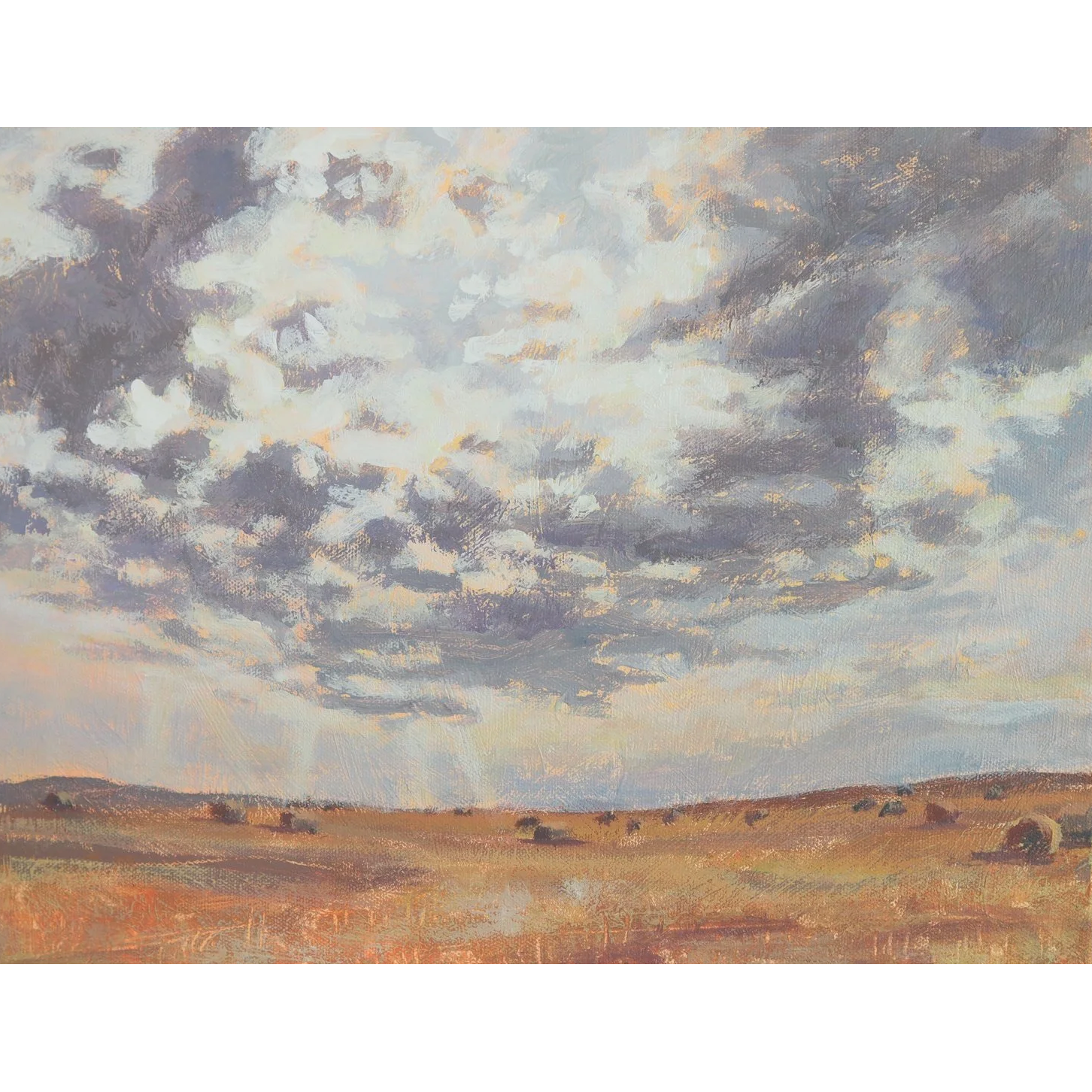 Late Afternoon on the Plains