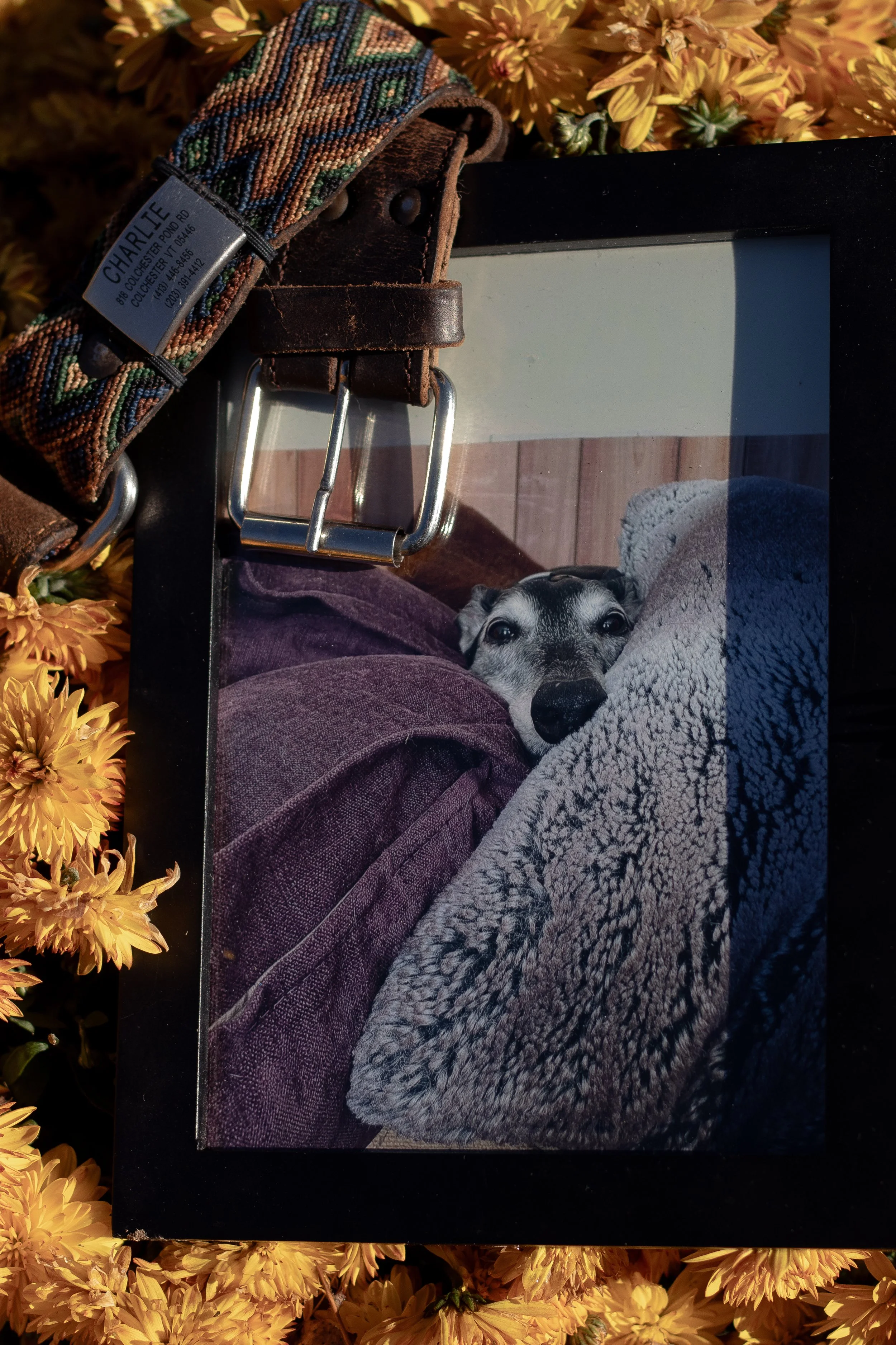 Chloe + Remy-22.jpg