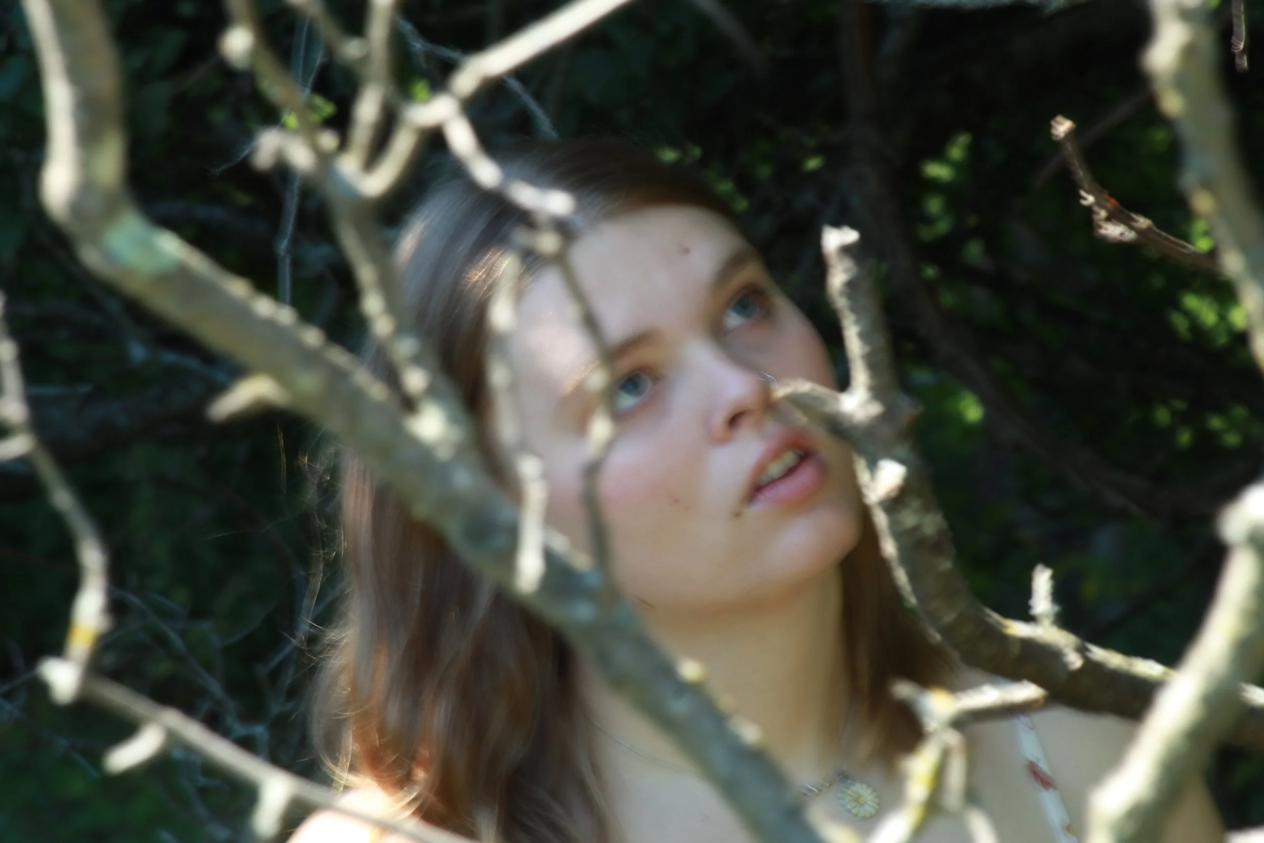 A young woman with long brown hair and blue eyes gazes through a tangle of branches and leaves in a natural outdoor setting.