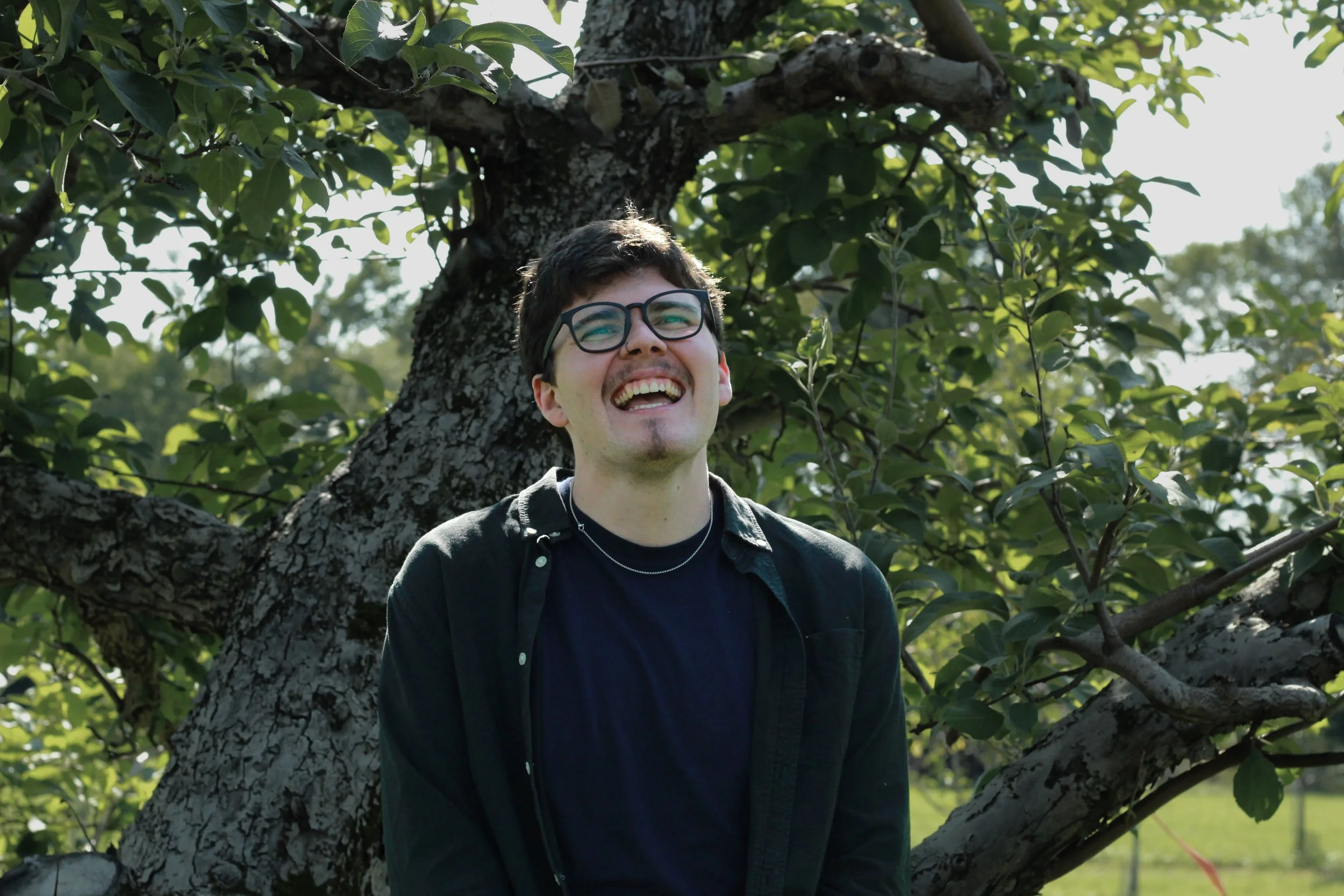 A young man with glasses and dark hair smiling while sitting on a tree branch surrounded by green leaves in a sunny outdoor setting.