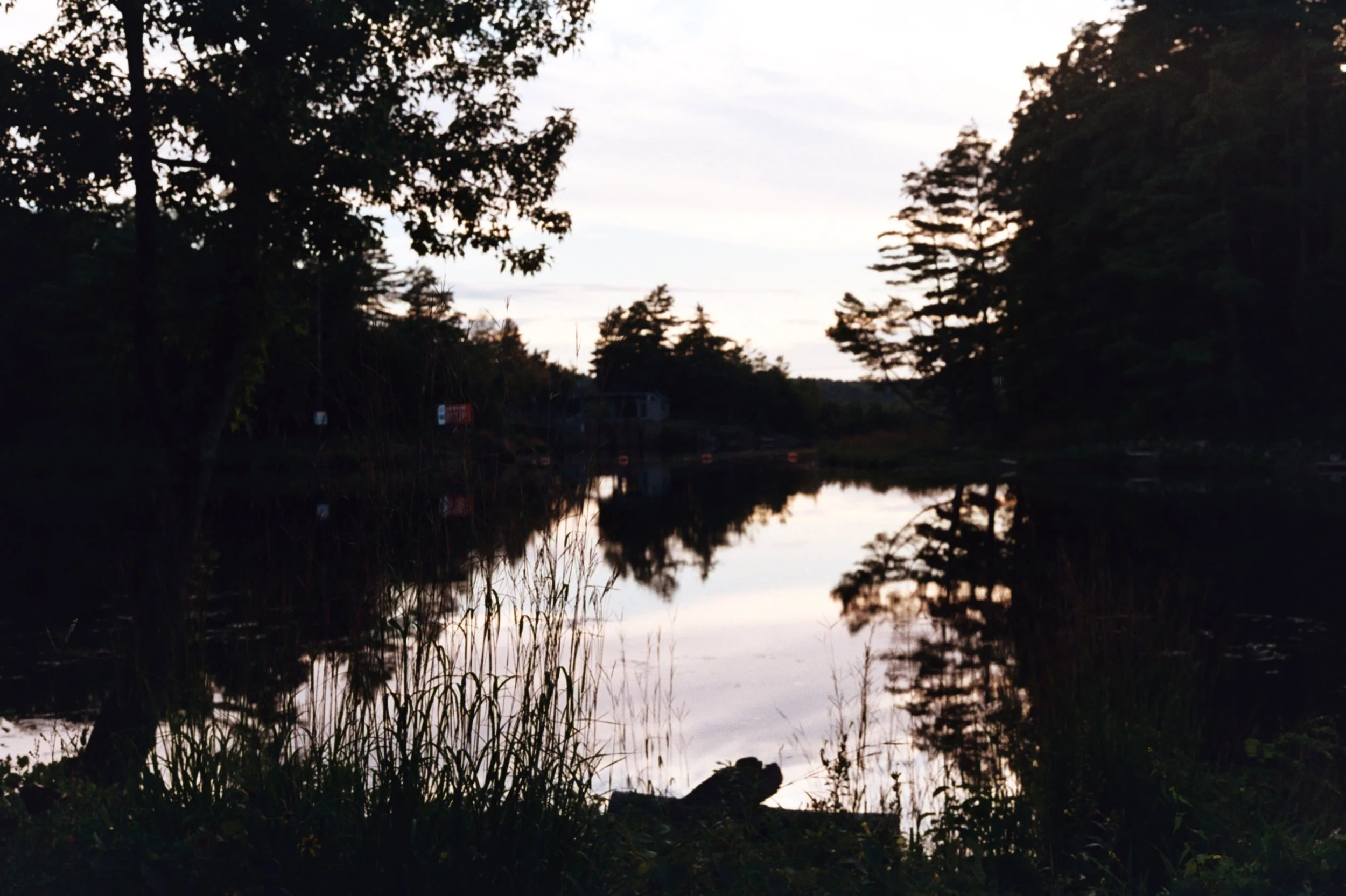 A serene lakeside scene at dusk with silhouettes of trees reflected in the calm water, and a cloudy sky overhead.