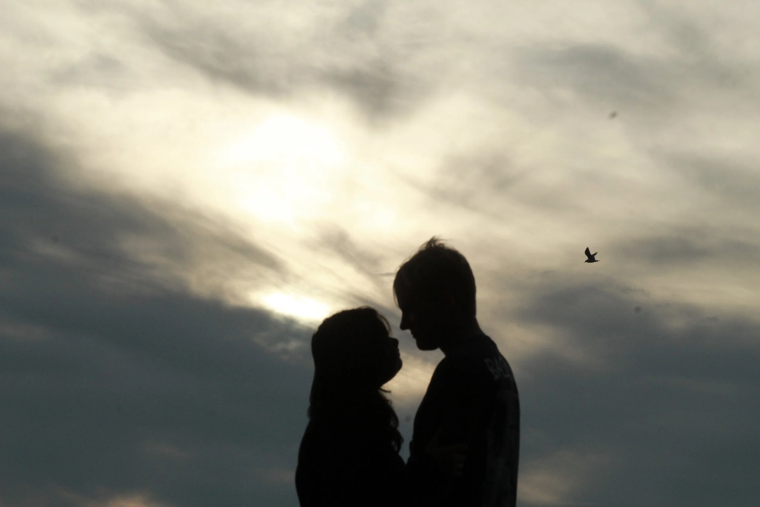 Silhouettes of a couple and a bird flying in cloudy sky during sunset.