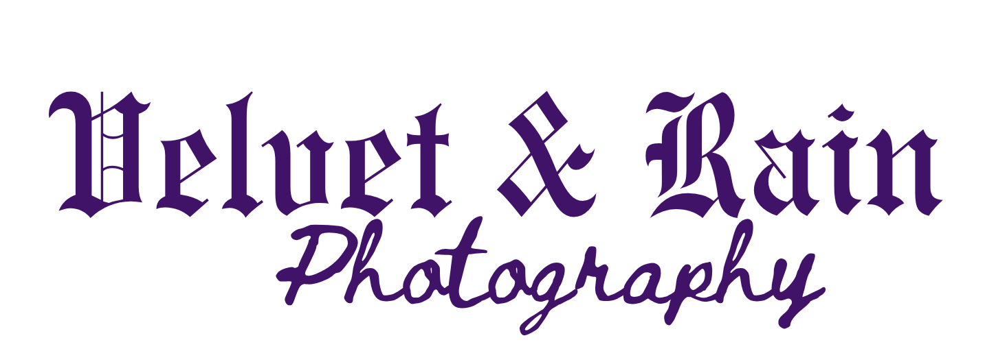 Velvet and Rain Photography