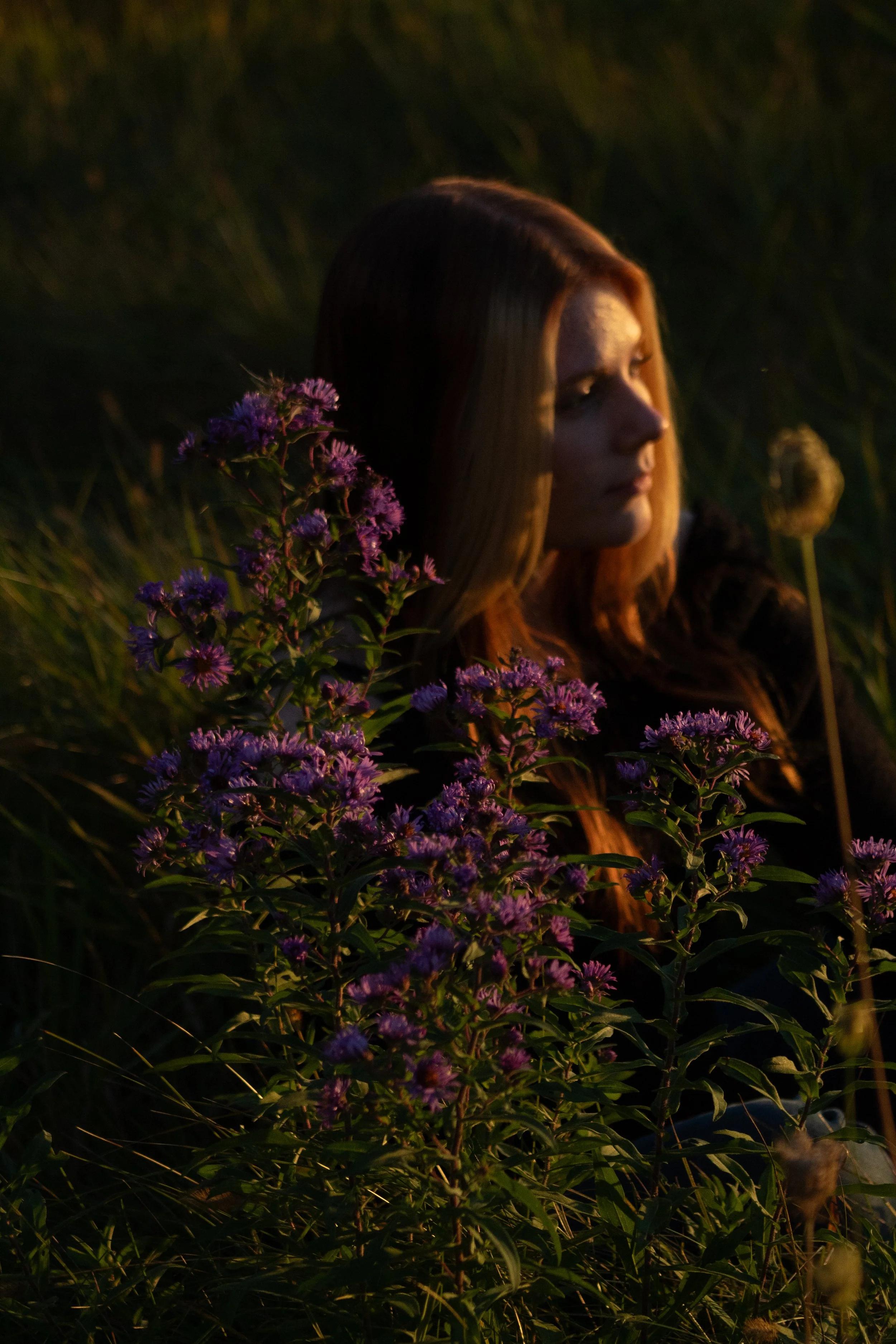 A woman with long, brown hair is outdoors during sunset, surrounded by purple flowers and green tall grasses.