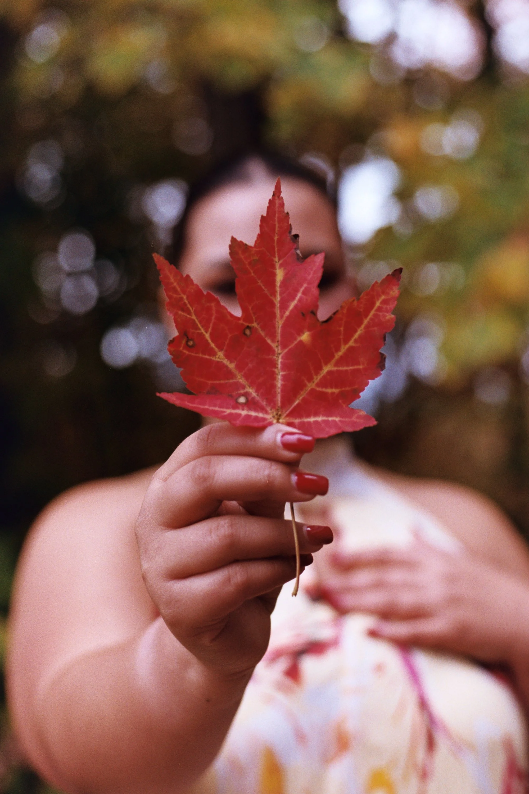 A person holding a red maple leaf. The person is slightly out of focus, with the leaf in sharp focus. The background contains blurred autumn-colored foliage.