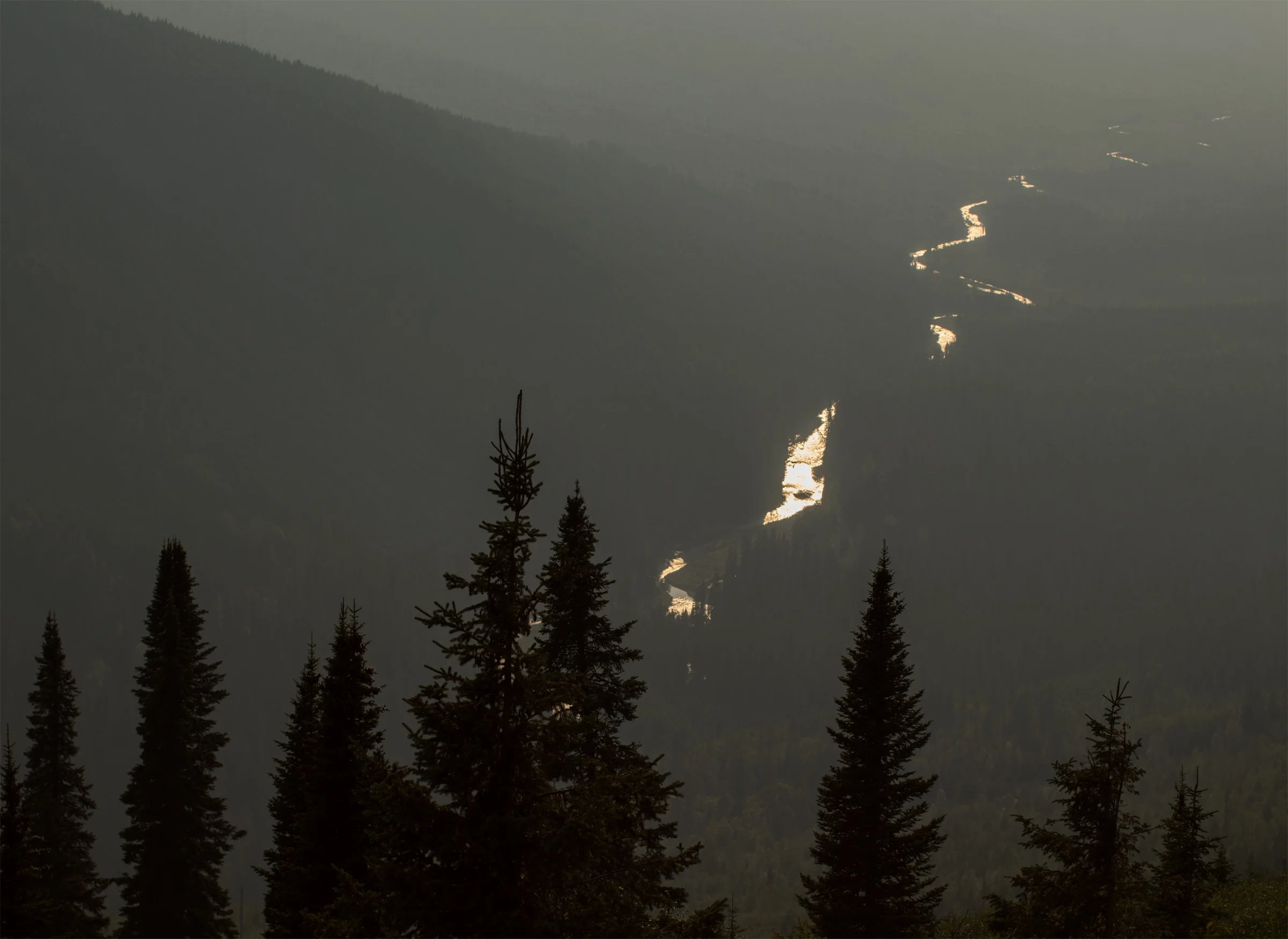 A ribbon of reflected light winds through a distant Montana valley, beyond dark pines and layers of haze. From Open Country.