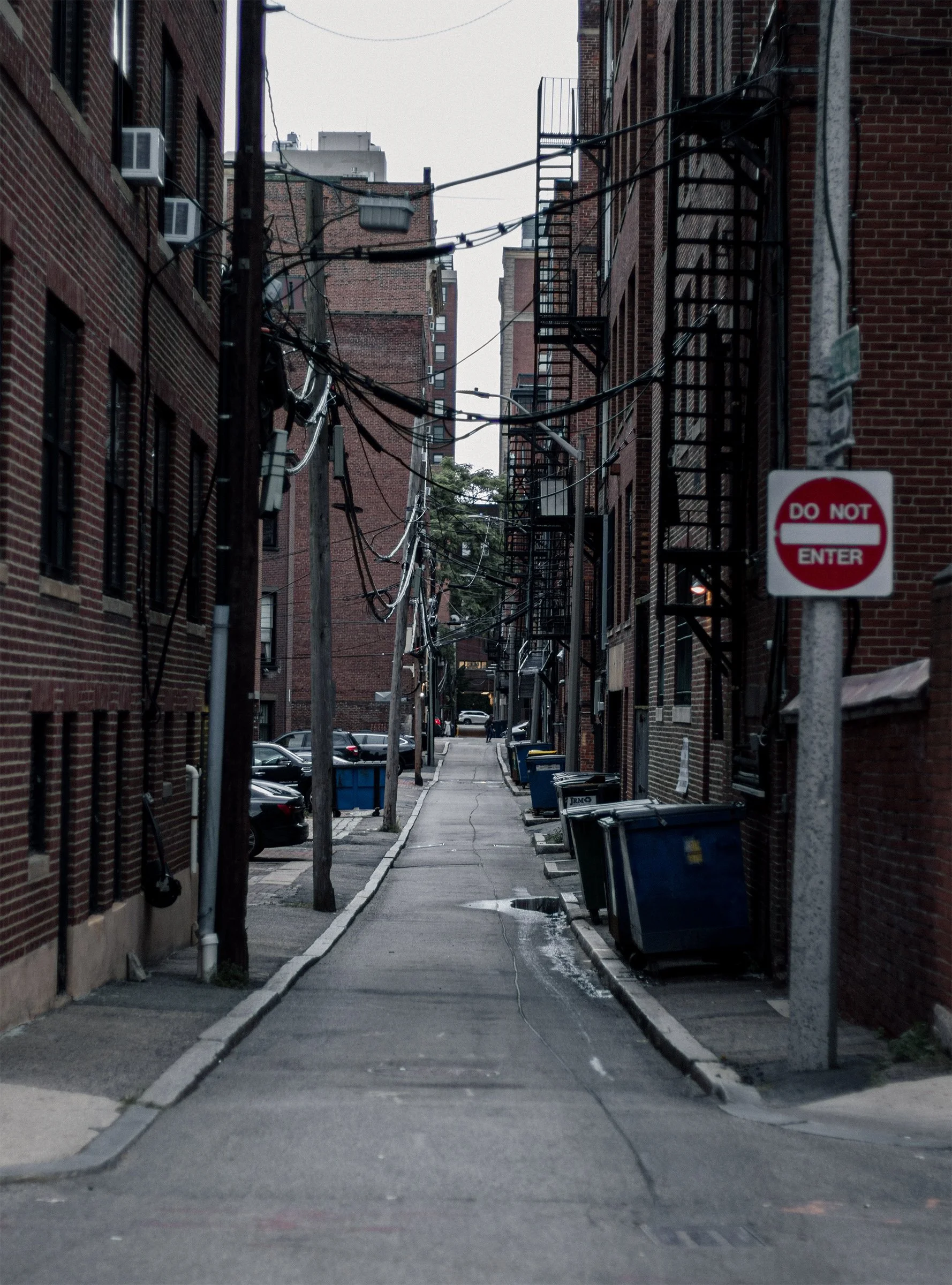 A narrow brick alley recedes between fire escapes, overhead cables and blue bins.
