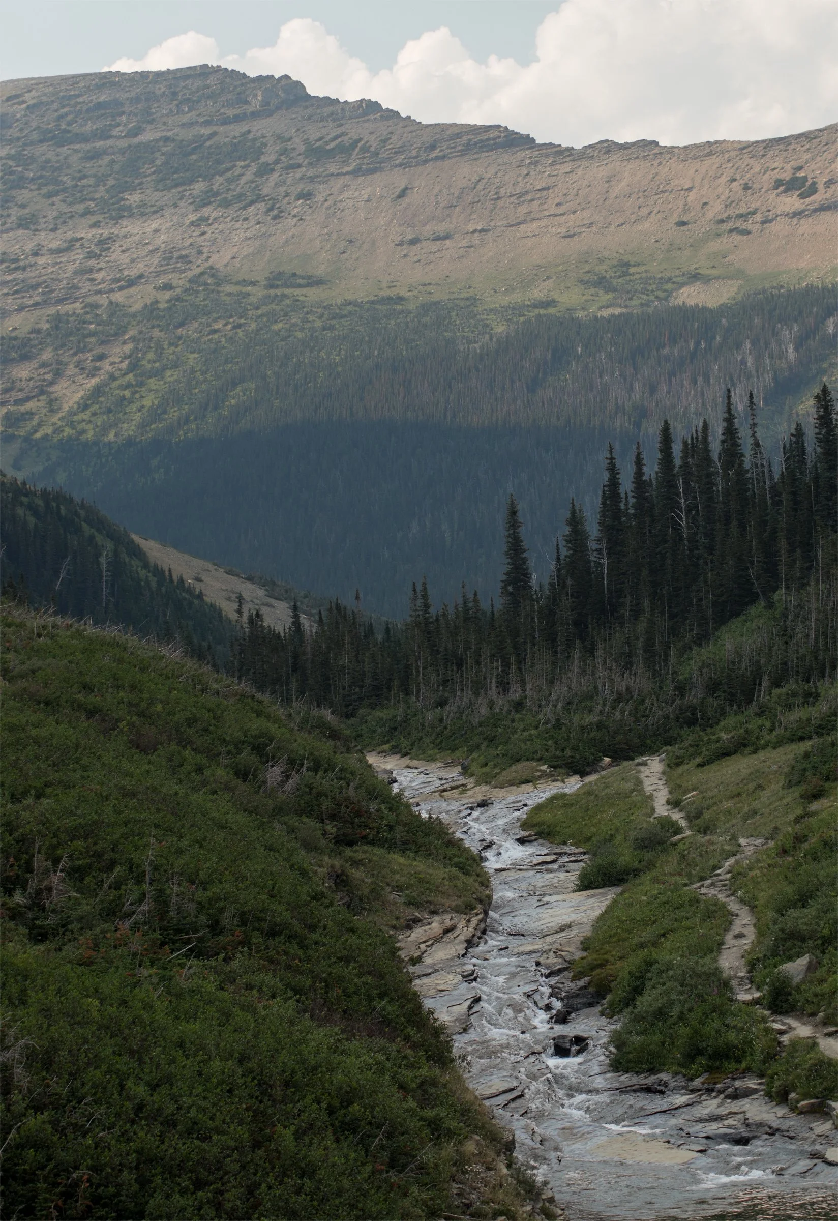 A narrow stream winds through a green valley beneath distant mountain slopes. Water finds its own passage.