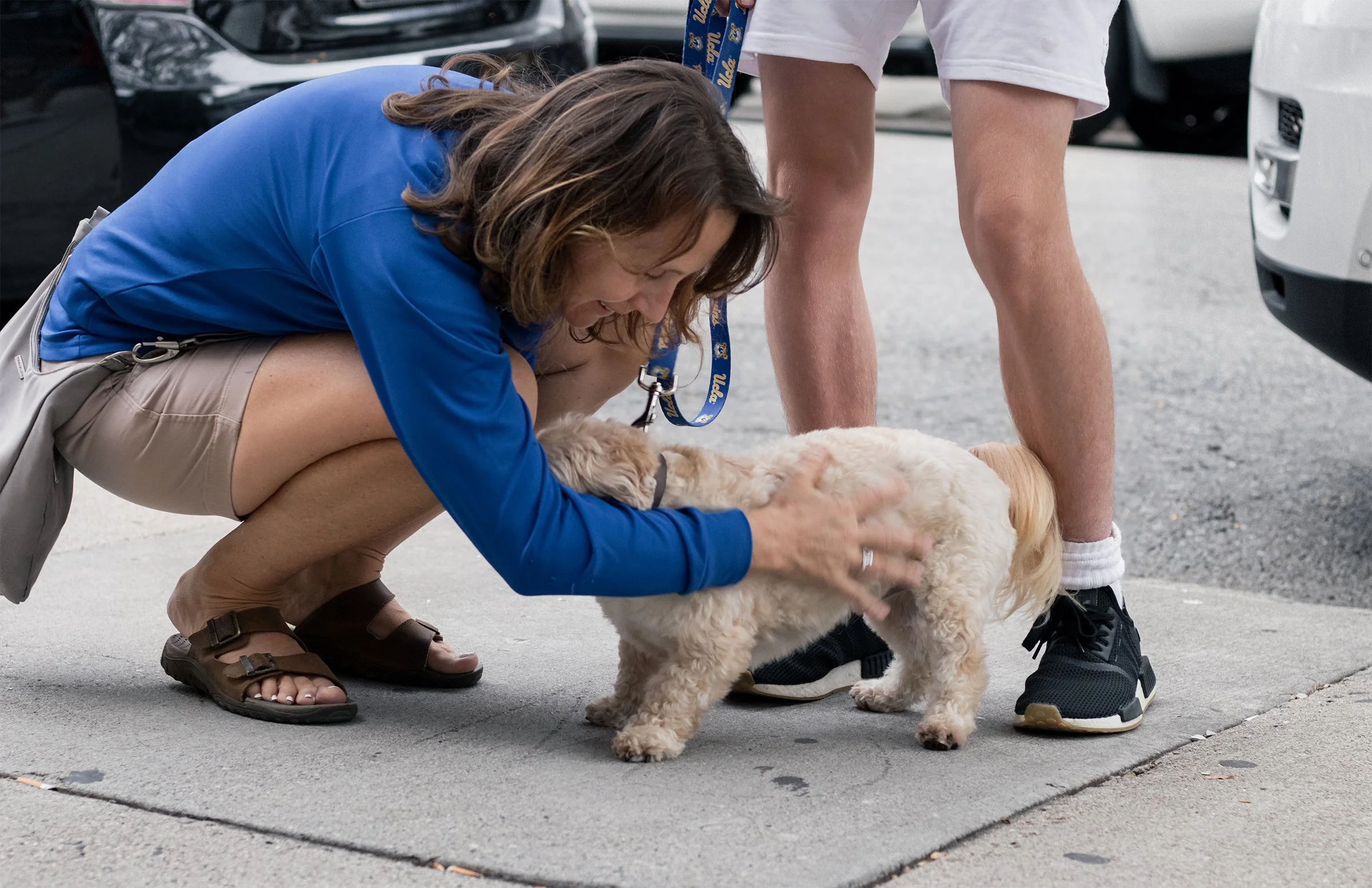 A woman crouches to stroke a small dog, her hand caught in motion.
