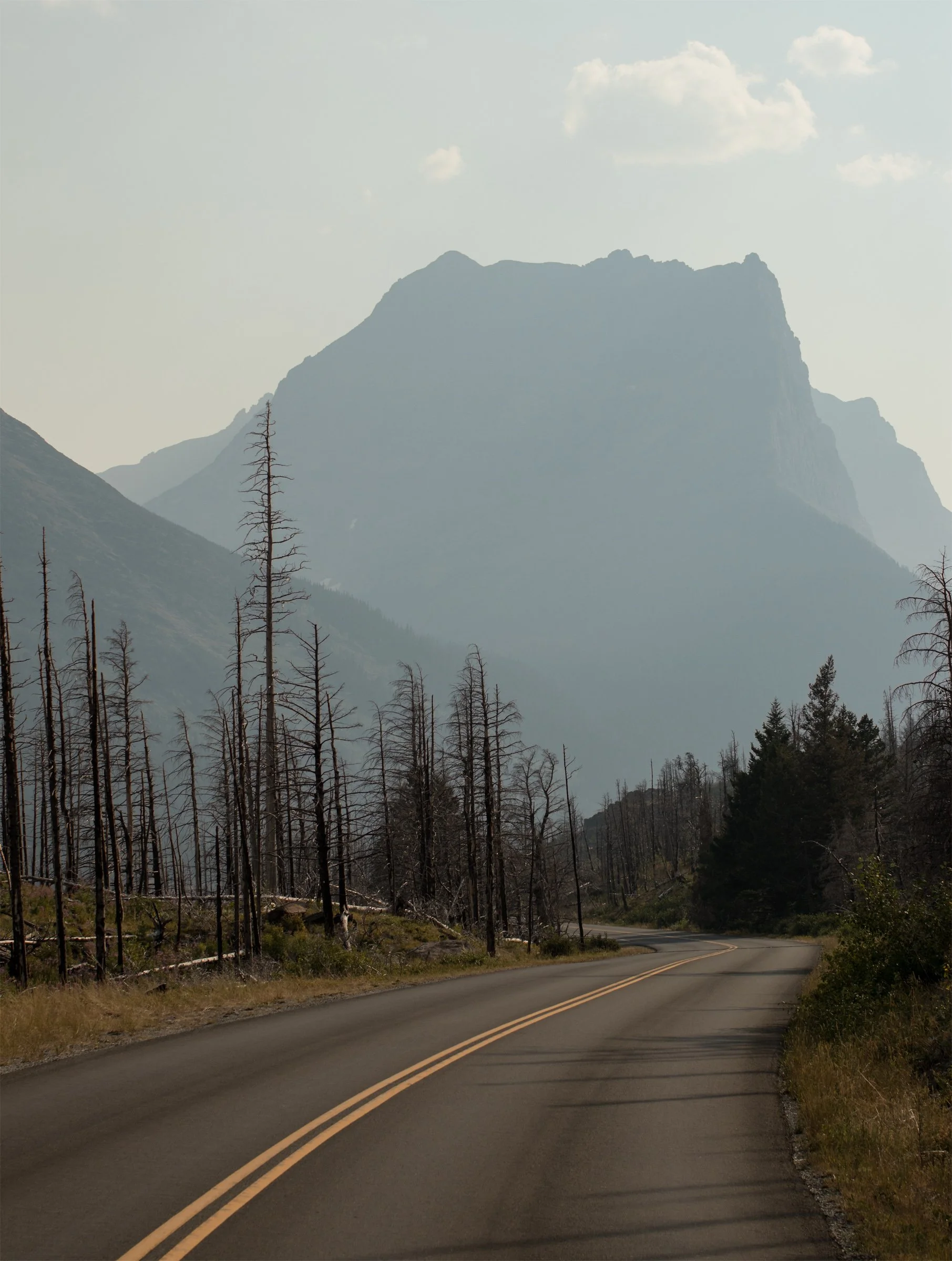 A road bends through dark pines toward hazy Montana mountains. A first sense of how small we are.