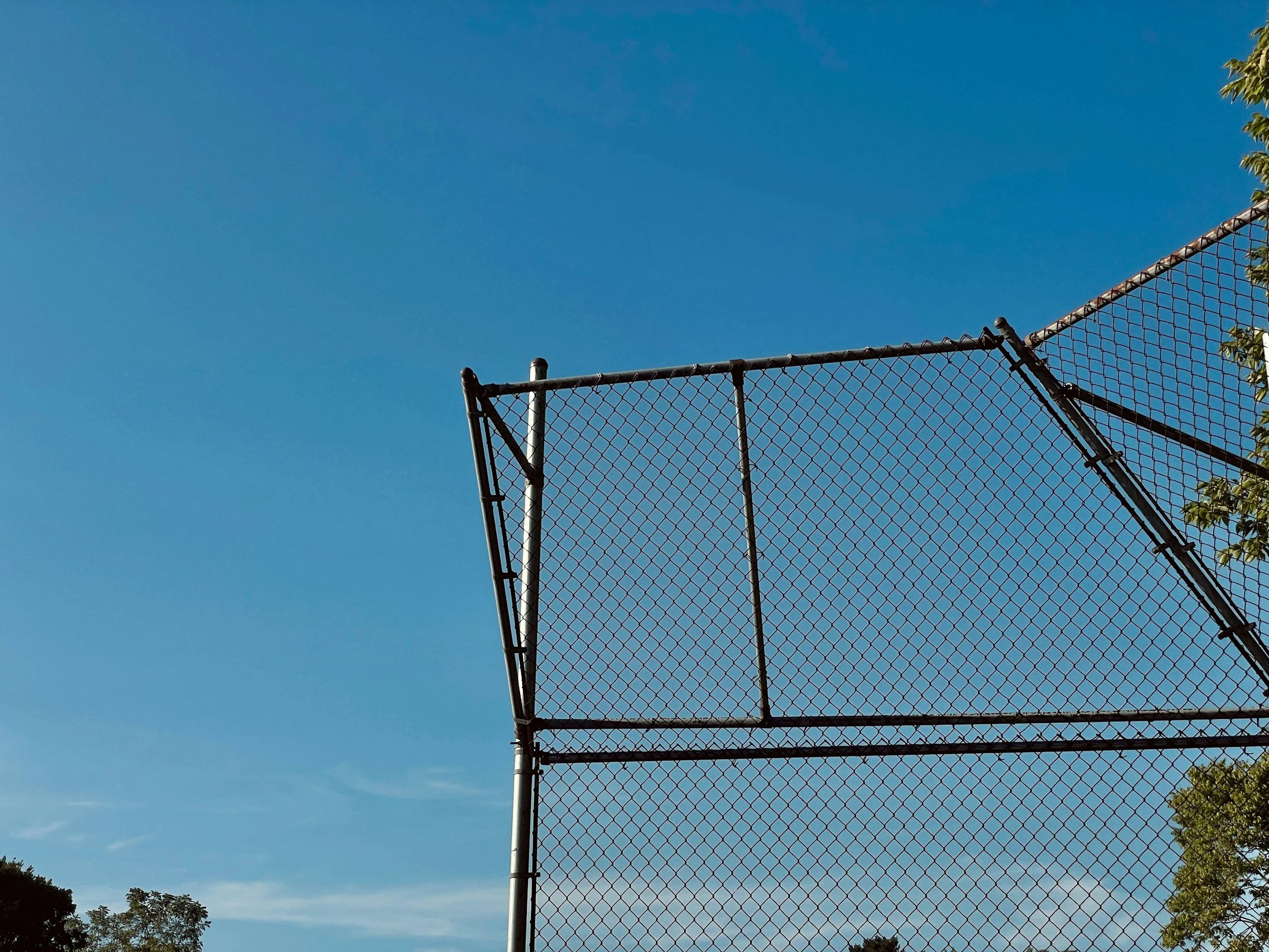 A chain-link fence with a metal pole and a clear blue sky in the background. Part of a tree and foliage are visible on the right and bottom edges.