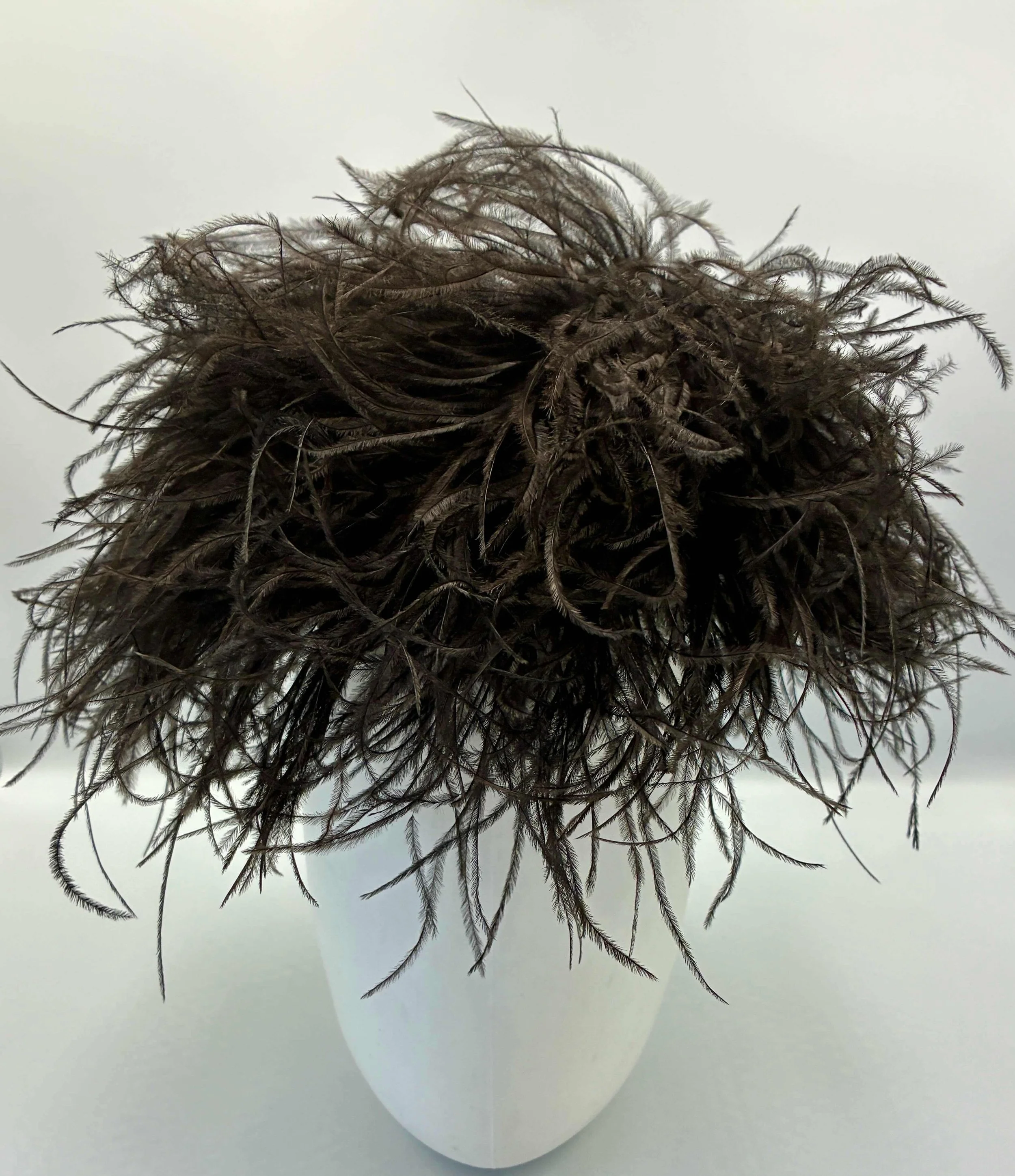 Black Ostrich Boa Feathers Mop Top