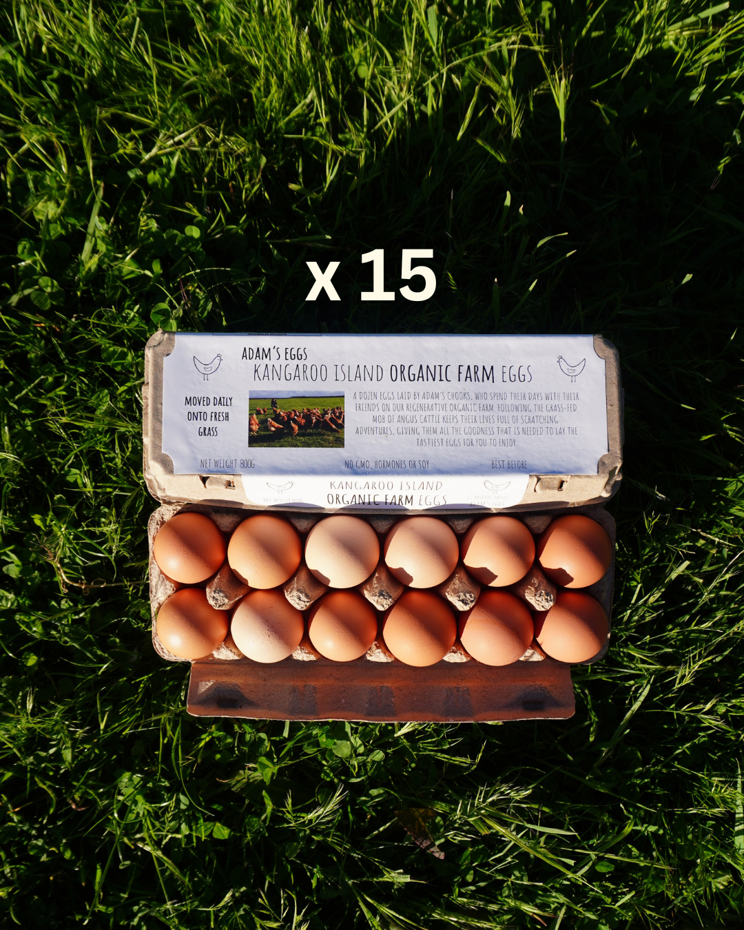 Box Adam's Eggs (15 dozen)