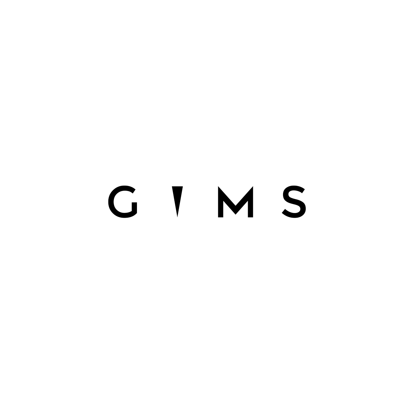 LOGO GIMS SITE.png