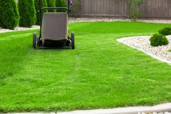 A lawnmower on a well-maintained grassy lawn in a backyard with a wooden fence and bushes.
