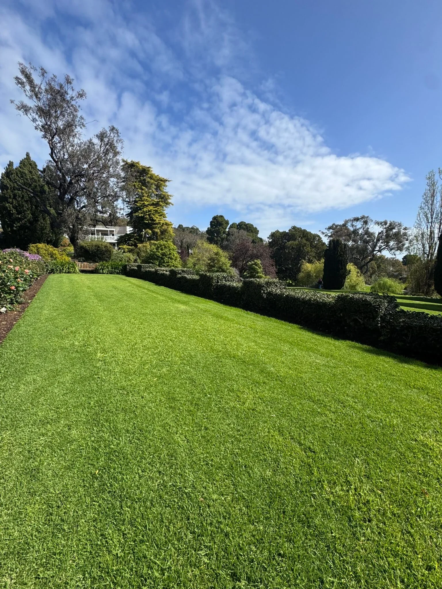 A well-maintained green lawn with trees and shrubs in the background under a partly cloudy blue sky.
