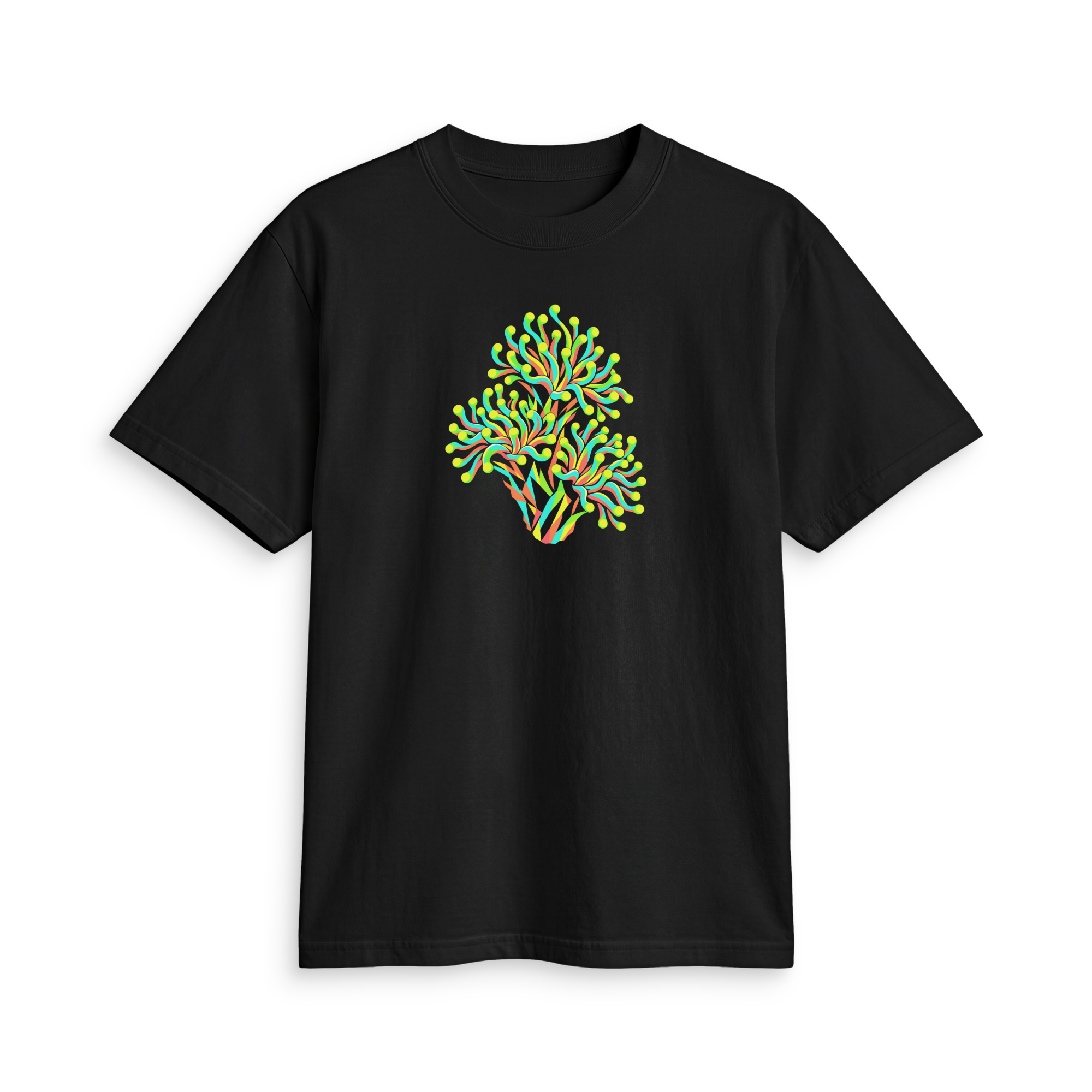 TEAL CORAL COMPANY — GEOMETRIC TORCH CORAL T