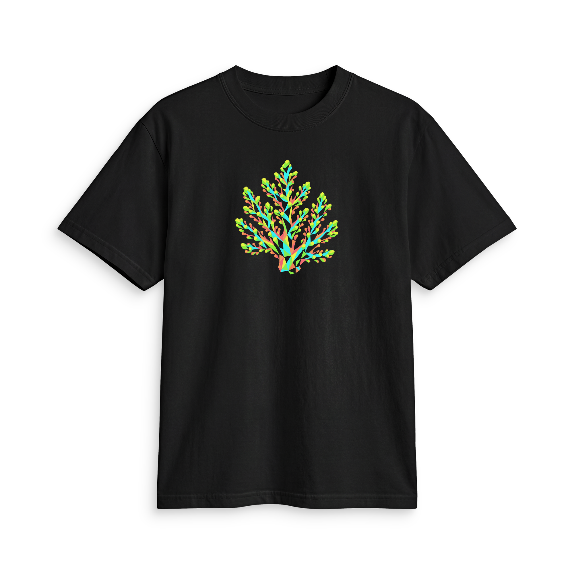 TEAL CORAL COMPANY — GEOMETRIC ACROPORA T