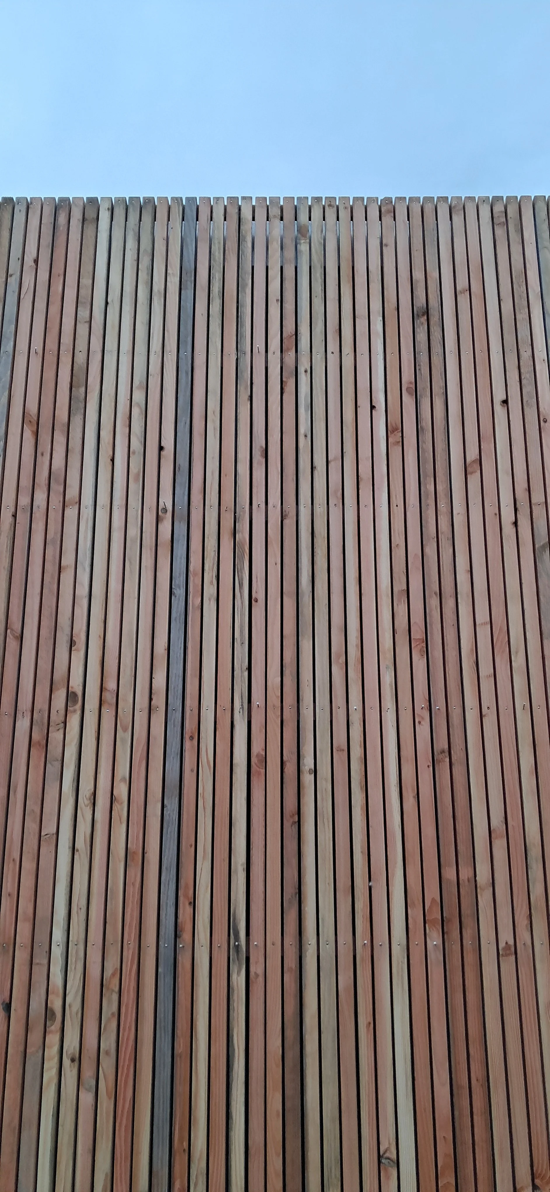 20250126_172600.jpg