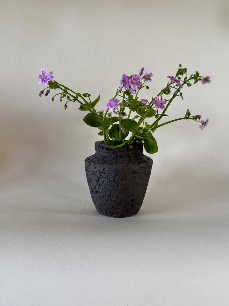 Mini black vase I