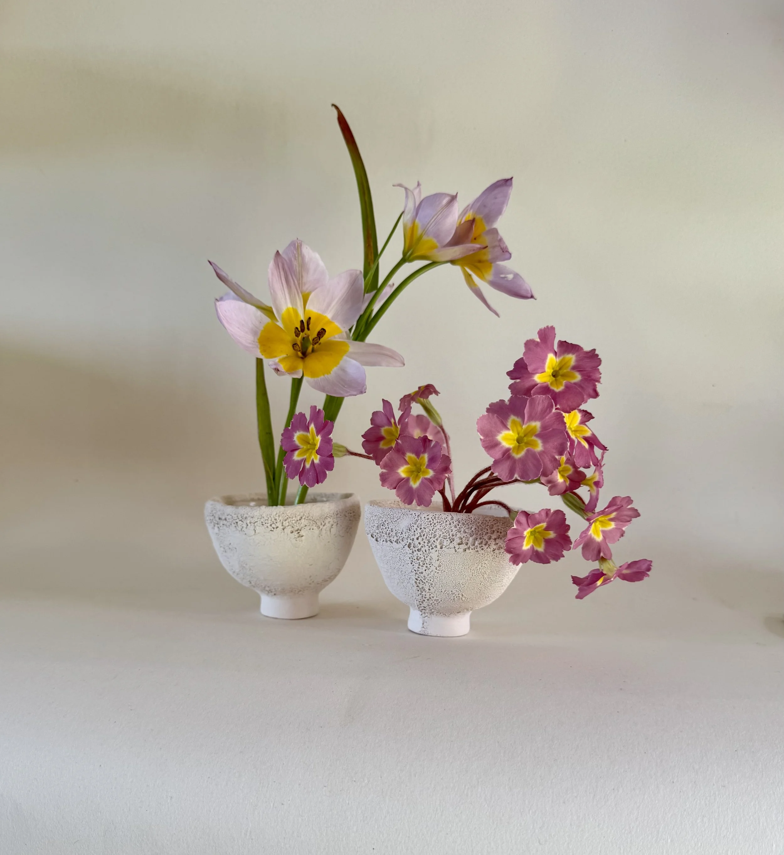 Pair of small white pots