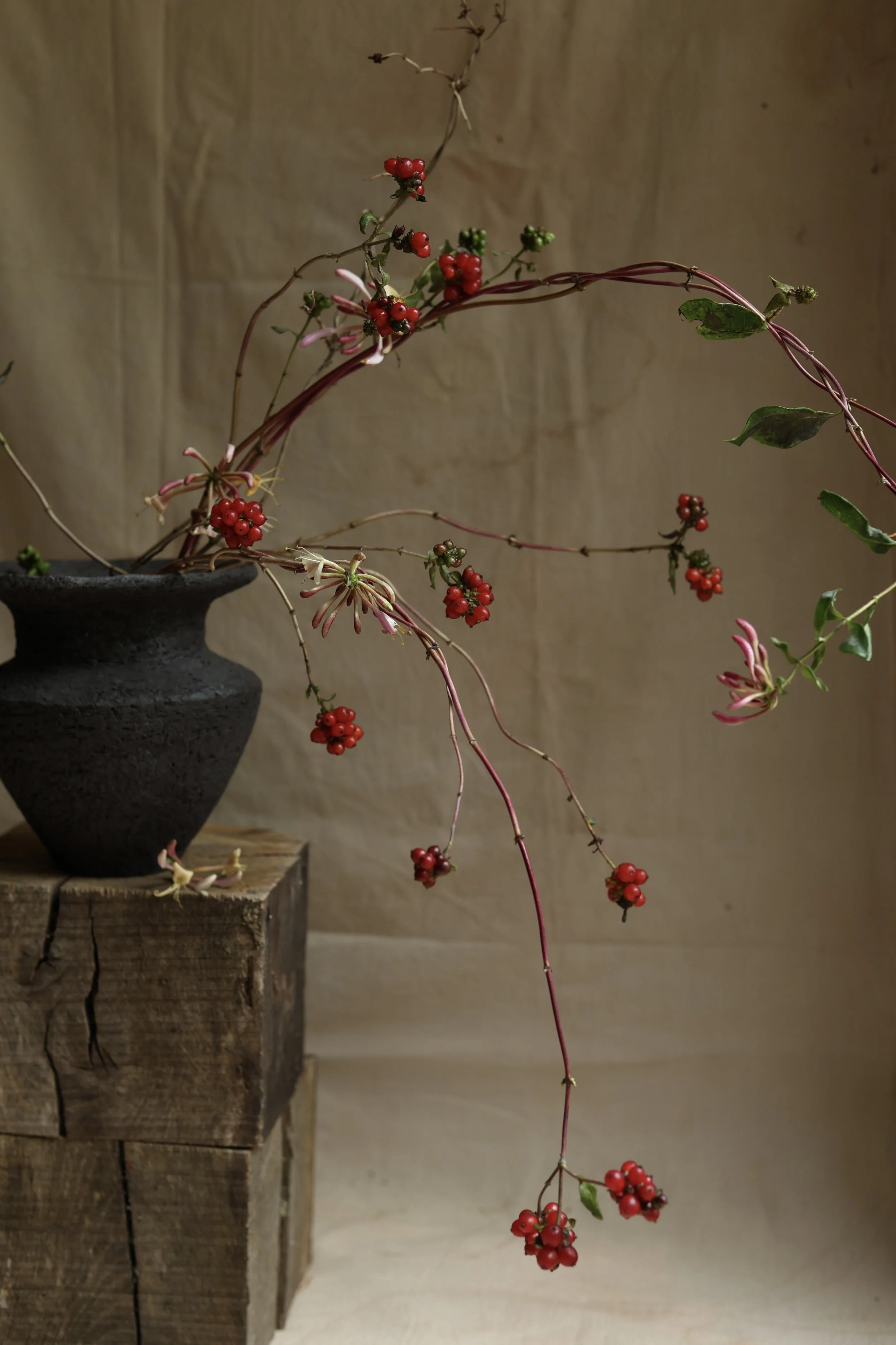 Black vase I