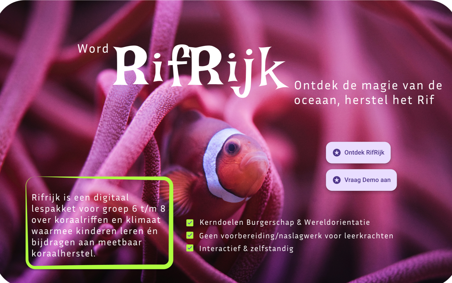 Homepagina ontwerp voor RifRijk, een business concept voor een online lesmethode om kinderen te leren over het belang van zeeleven en koraalbehoud. Ook lesgeven over duurzaamheid.