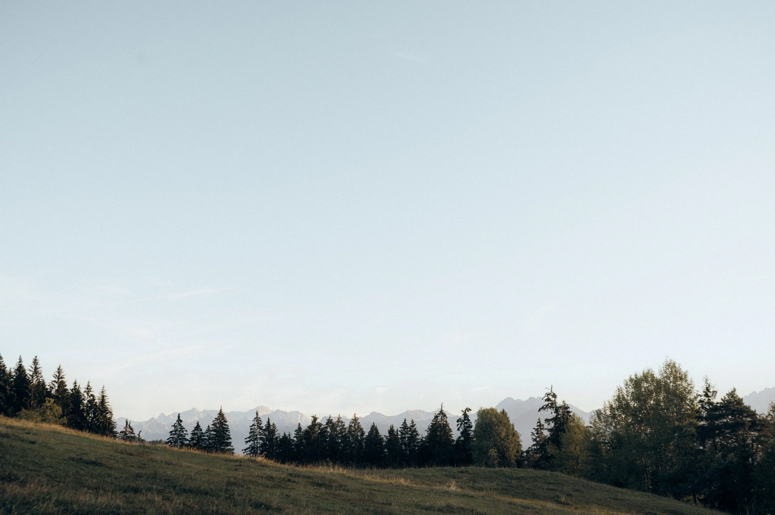 Berglandschaft mit Nadelbäumen im Vordergrund, mittlere Berge und Hügel, im Hintergrund hohe Berggipfel, unter einem klaren, blauen Himmel.