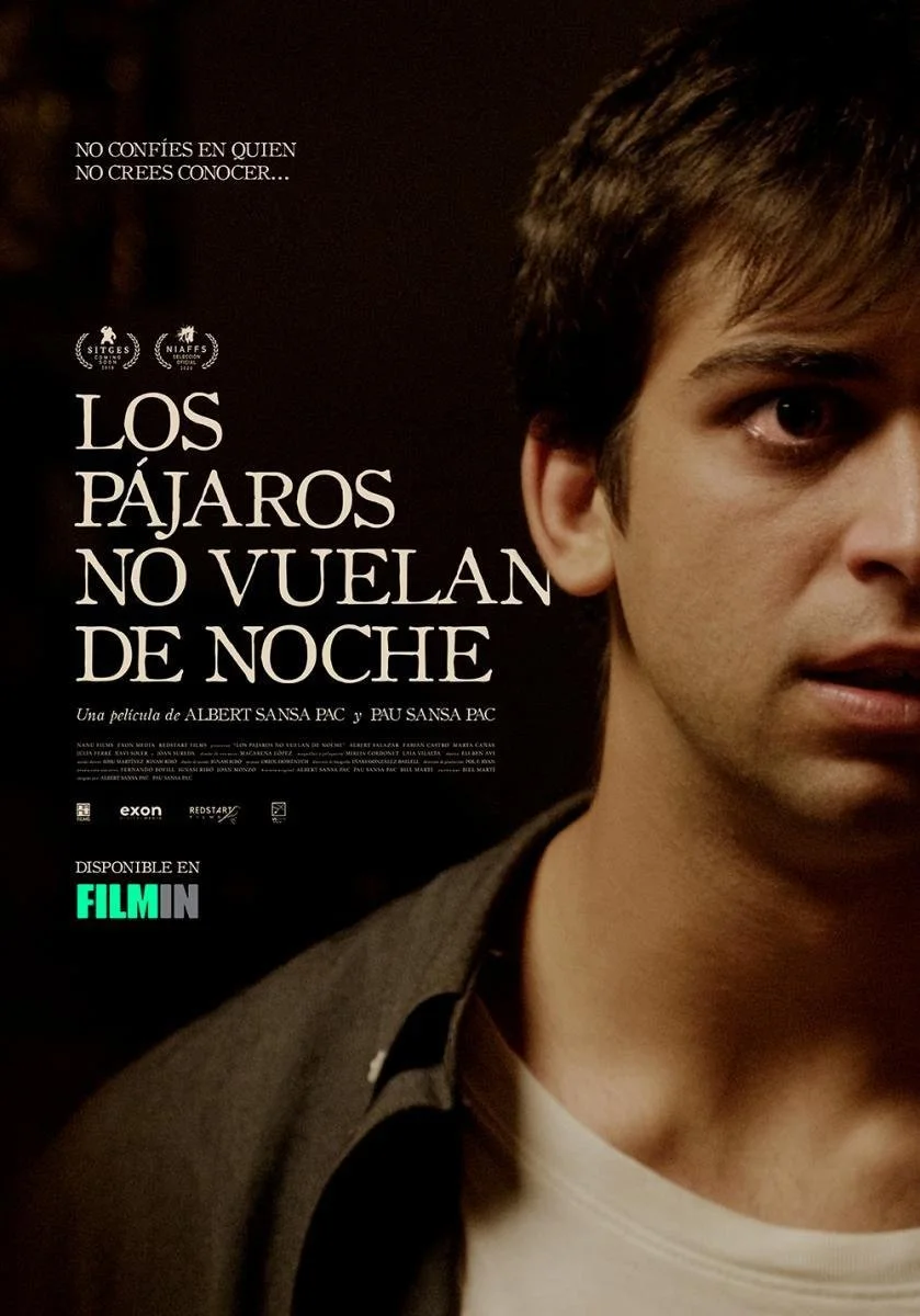 Los_p_jaros_no_vuelan_de_noche-439149794-large.jpg