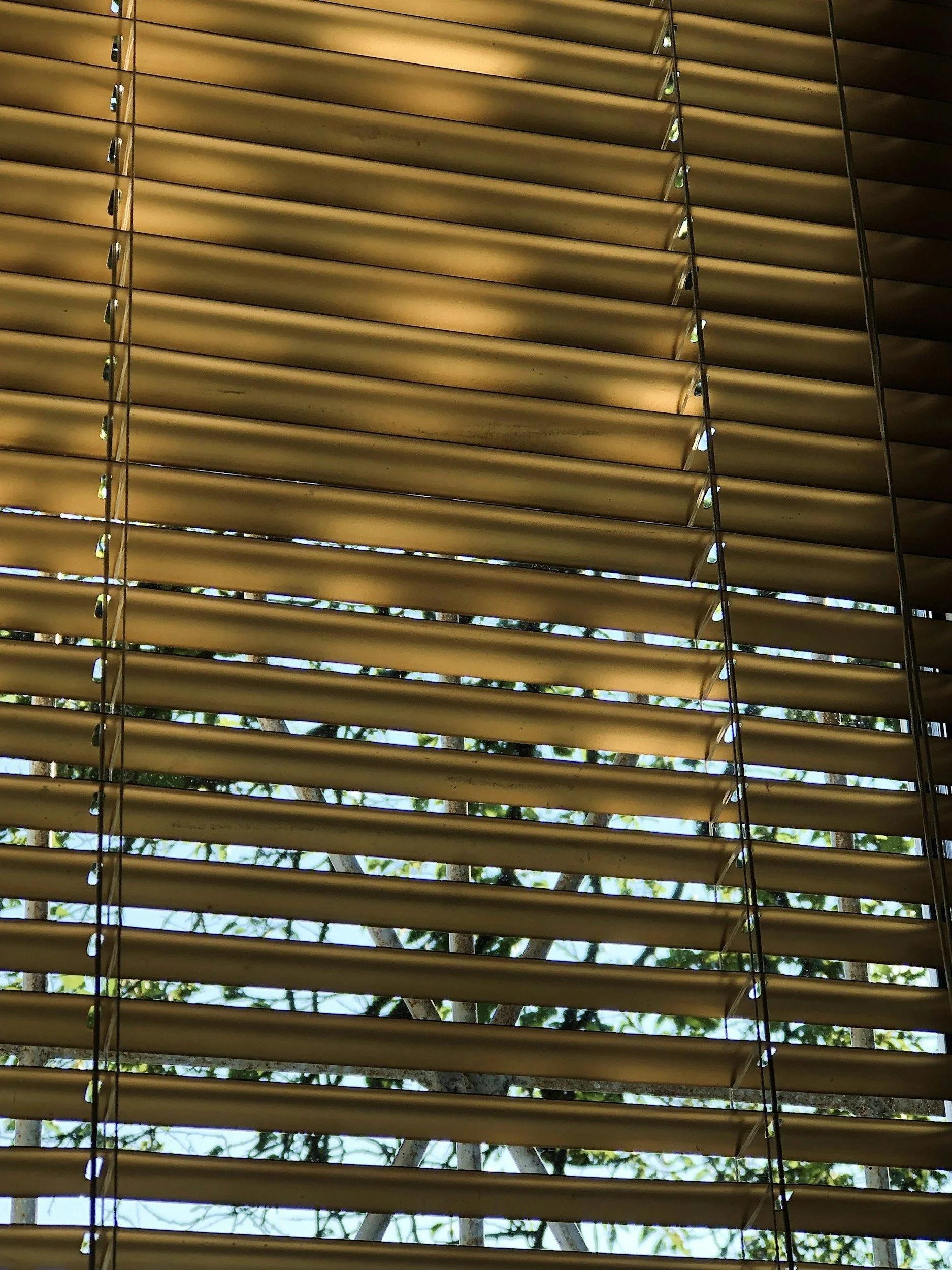 View through window blinds showing a tree with green leaves outside.