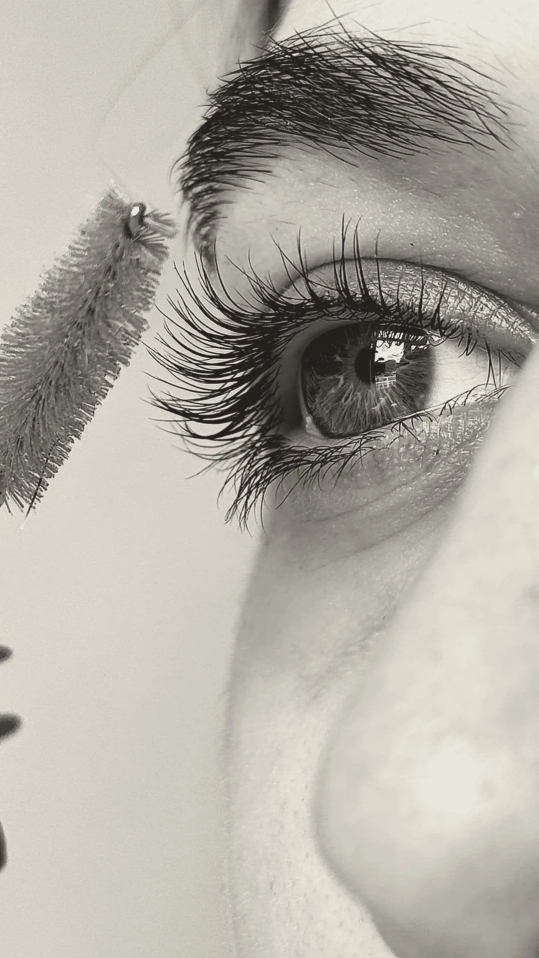 Close-up black-and-white photo of a human eye, with mascara-ed eyelashes and reflective details in the iris.