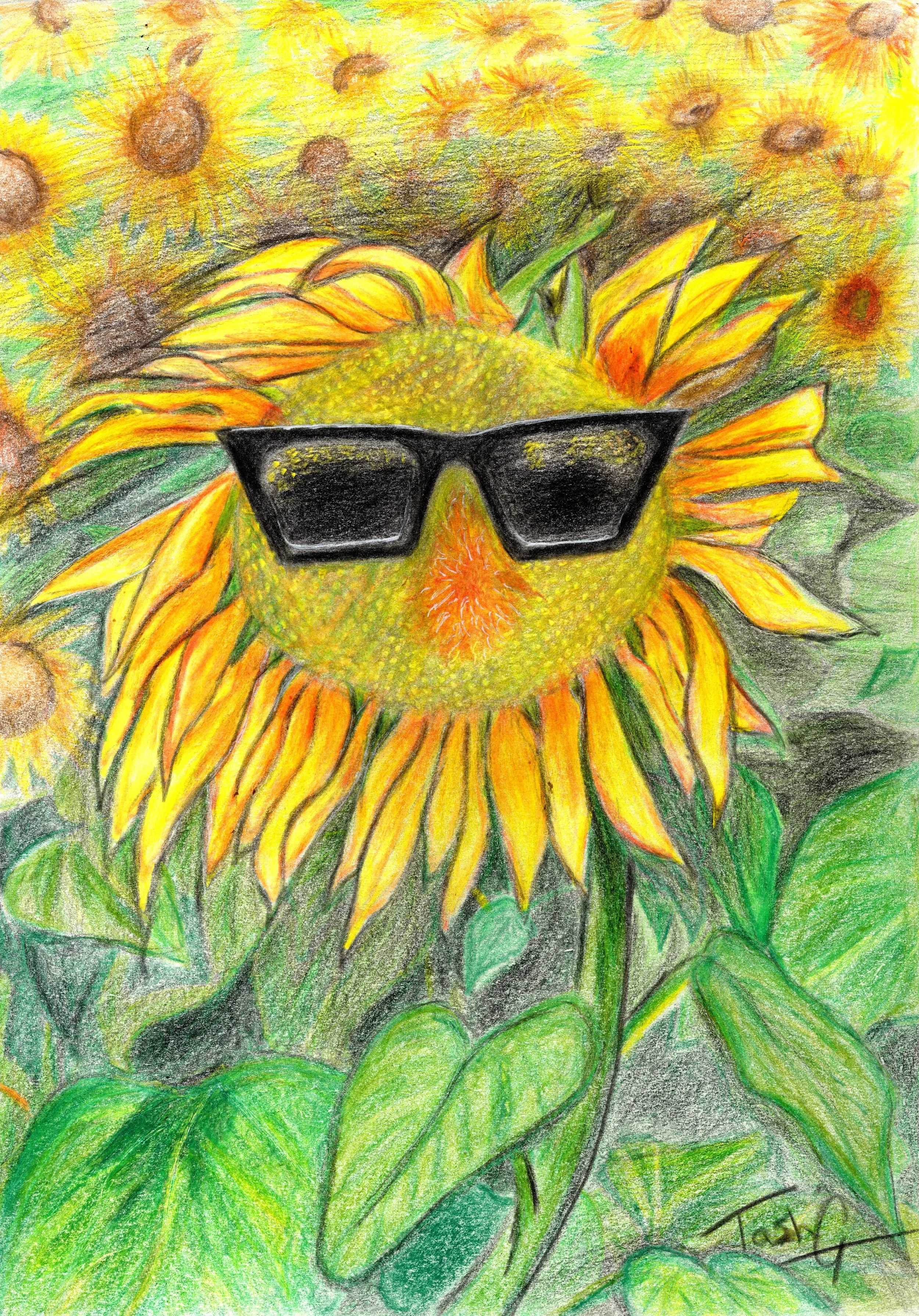 Sunglasses