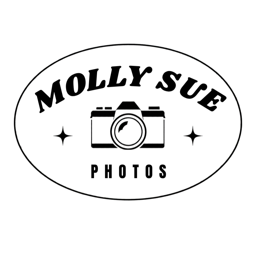 Your Site Title
