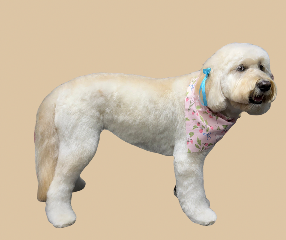 image10.png