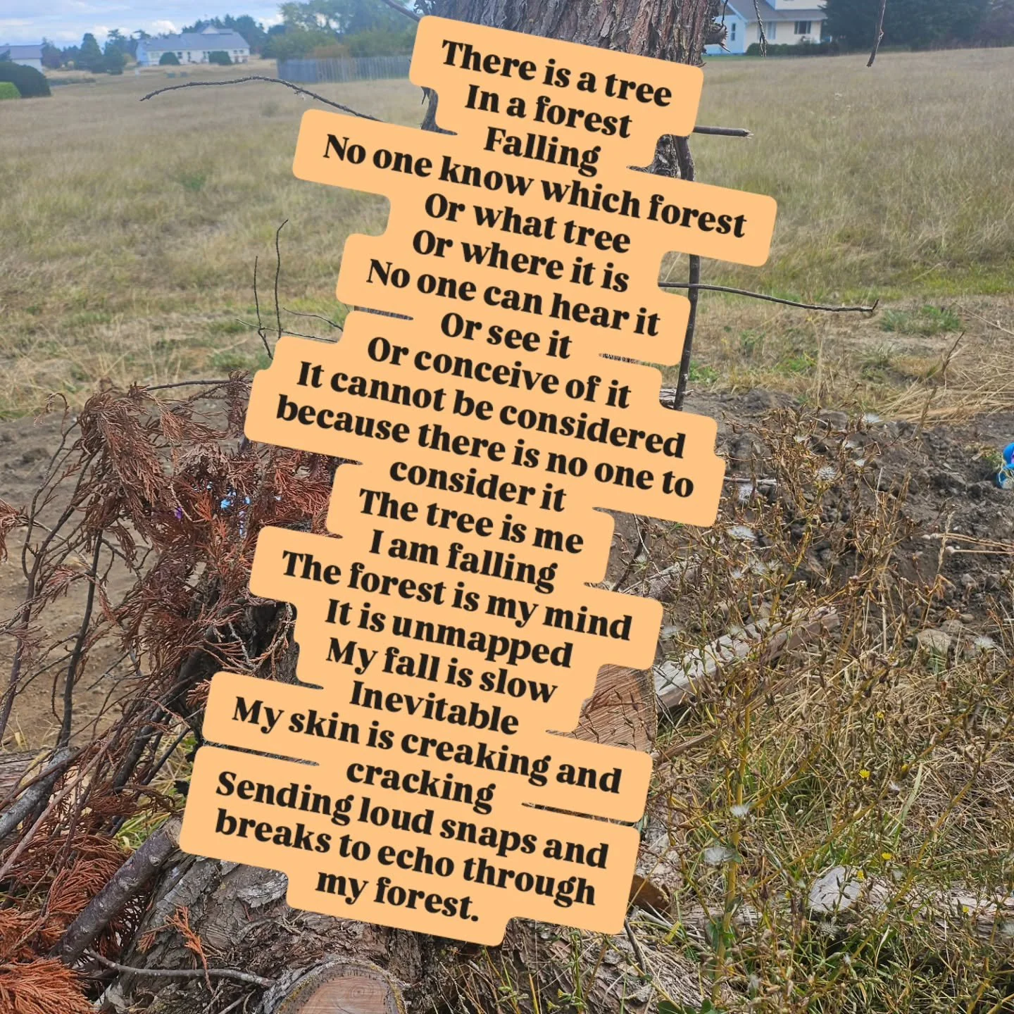 Poem by me: There is a Tree

There is a tree in the night forest falling
And nobody knows in which forest it is,
No one can hear it, no matter how high it screams,
Nobody knows they should consider it.

I am the tree it is
Me who is Falling and 
ther