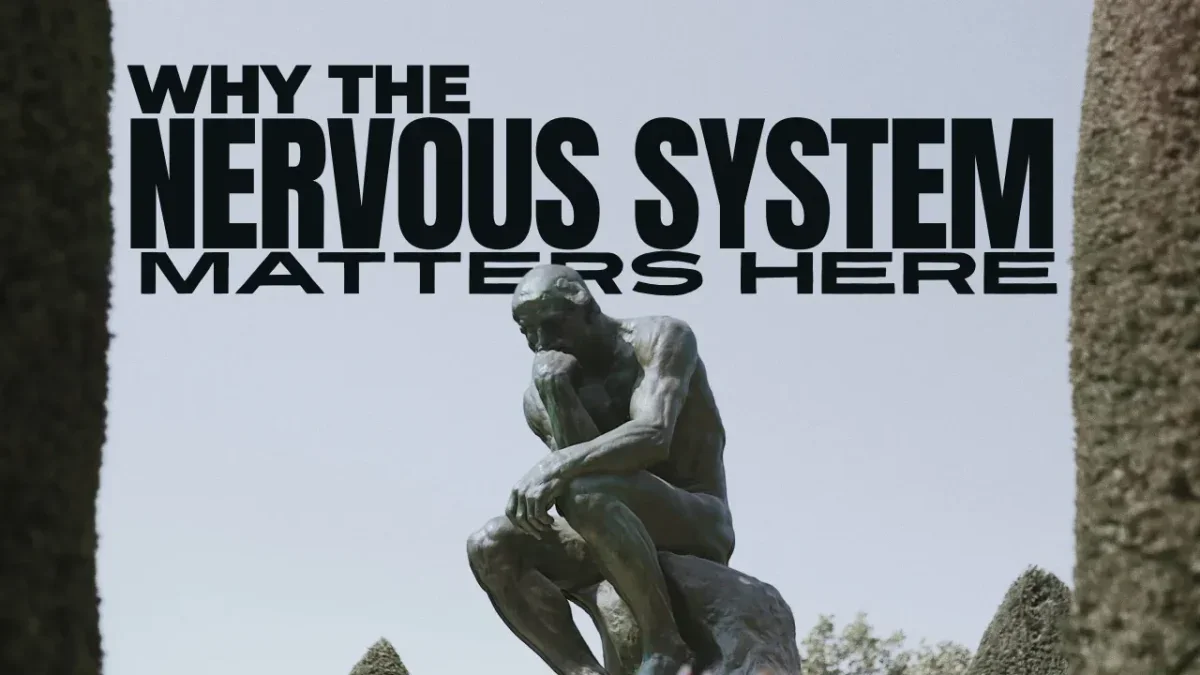 Why the Nervous System Matters Here