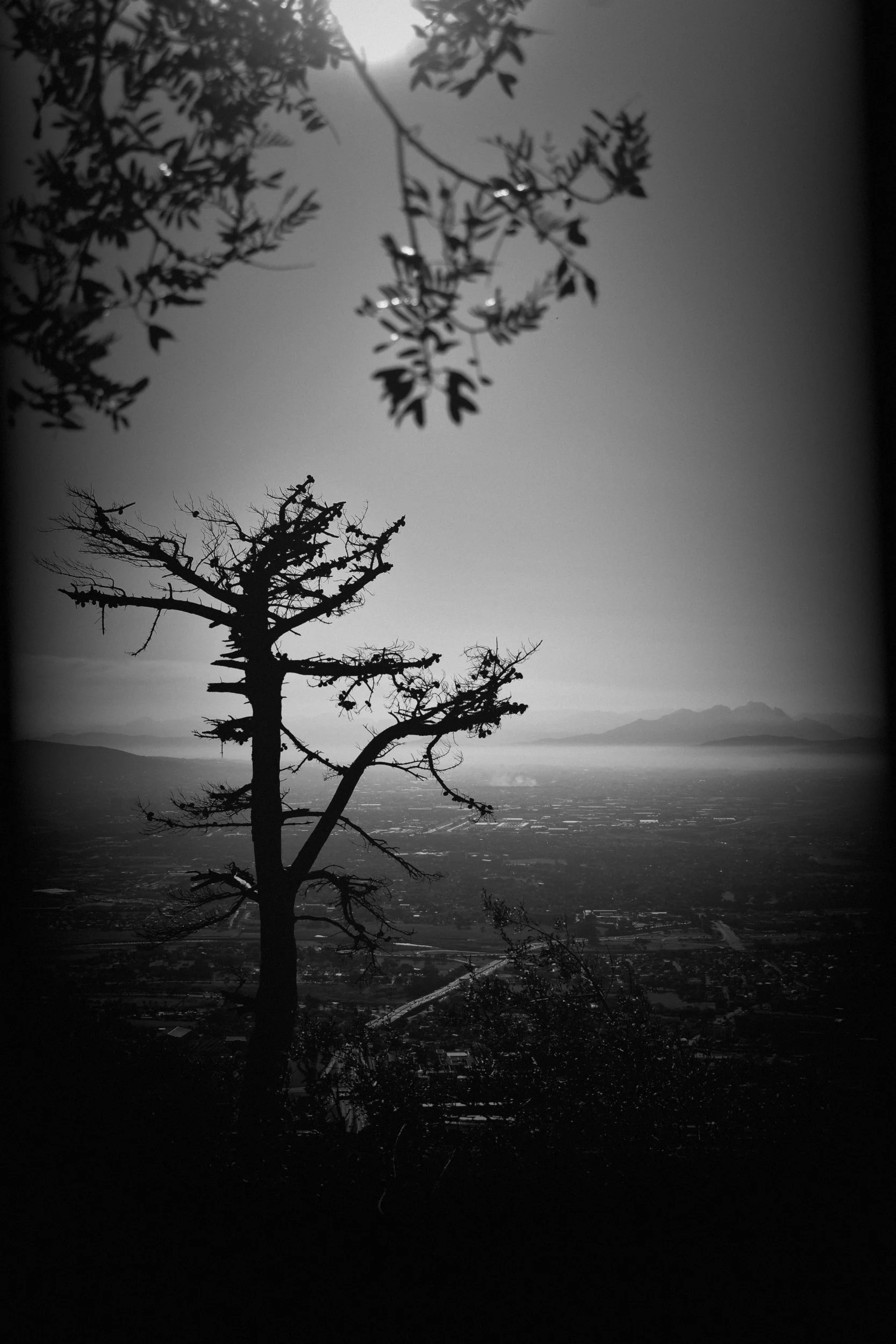 BRP0054
